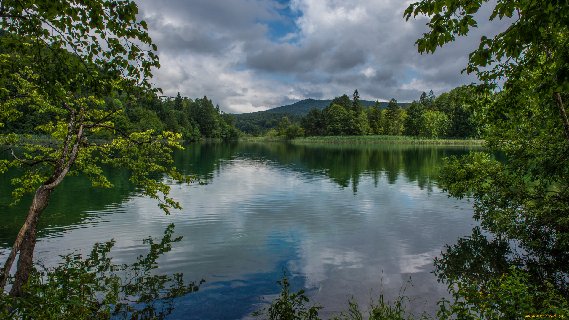 природа, реки, озера, простор