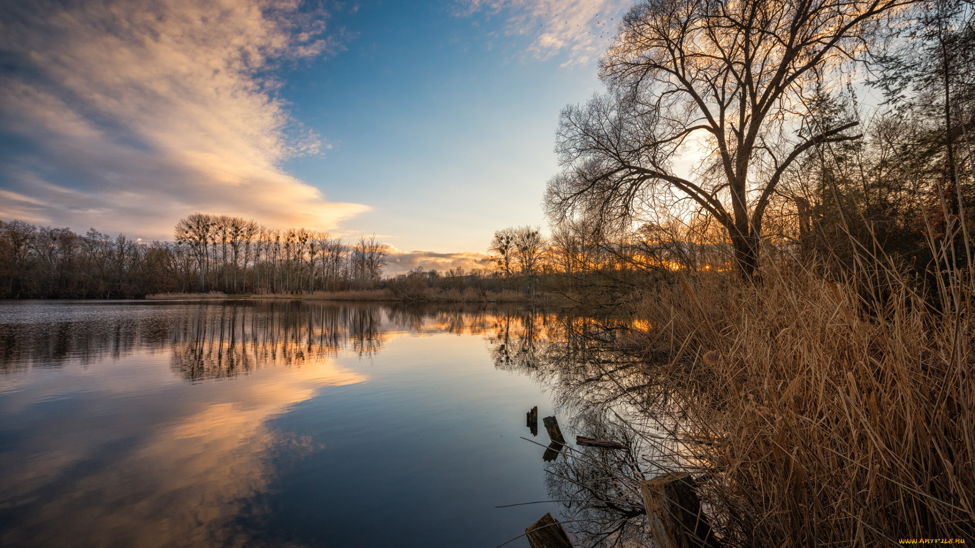 природа, реки, озера, простор