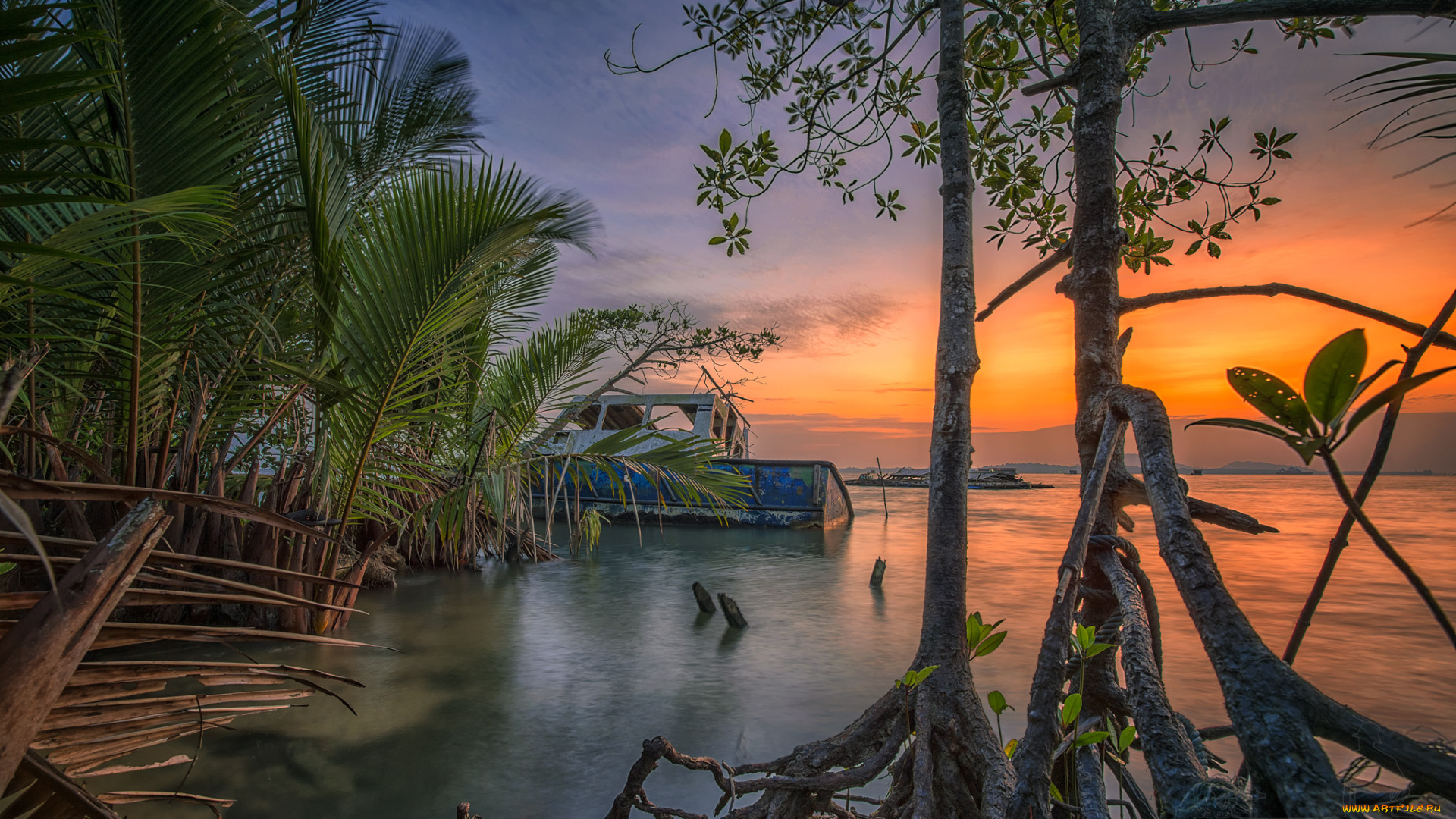 природа, тропики, простор