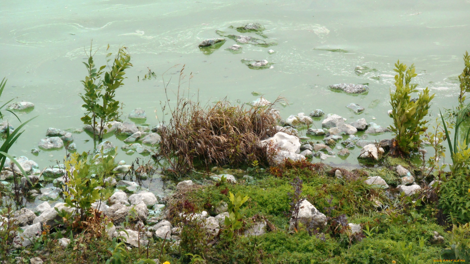 природа, вода