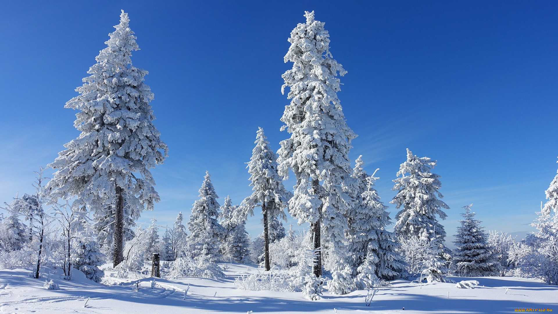 природа, зима, простор