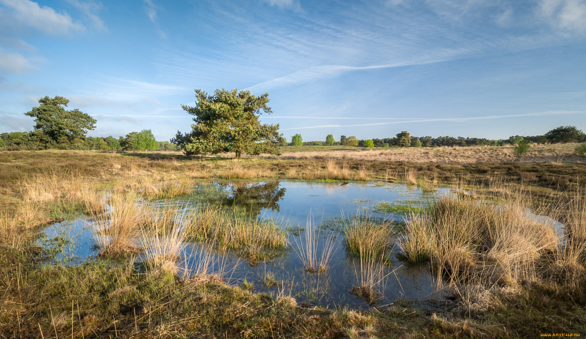природа, реки, озера, простор