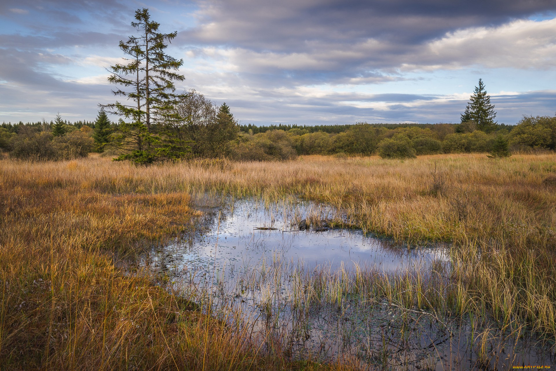 природа, реки, озера, простор