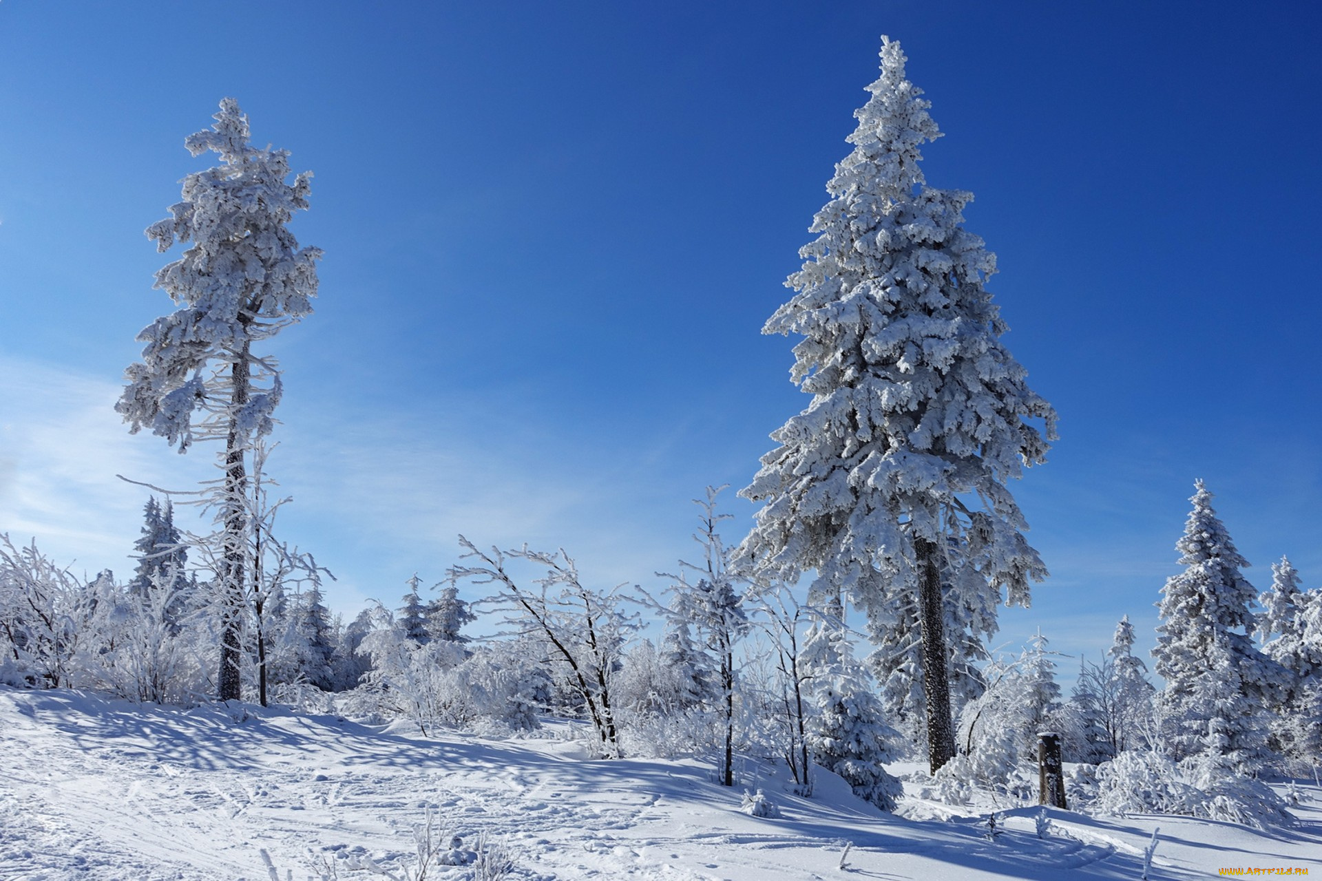 природа, зима, простор