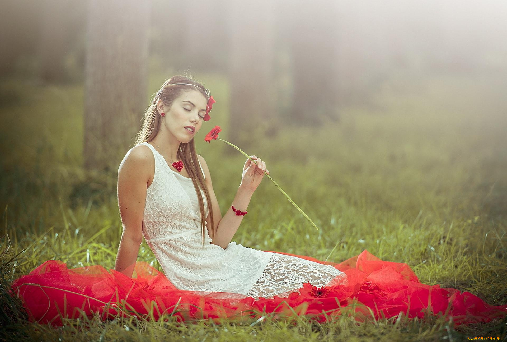 девушки, -unsort, , брюнетки, темноволосые, цветы, герберы, ткань, лес, трава, поляна