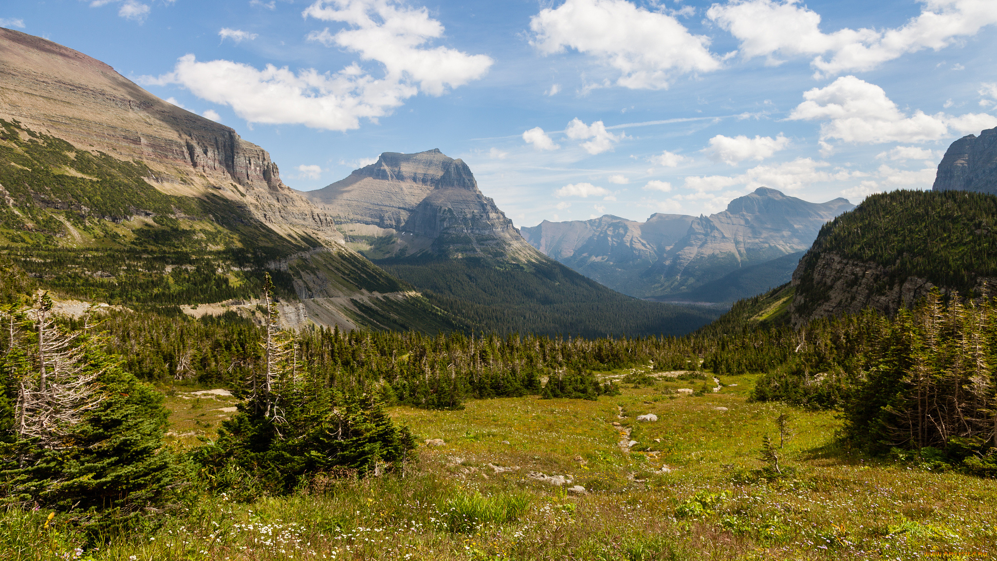 природа, пейзажи, простор