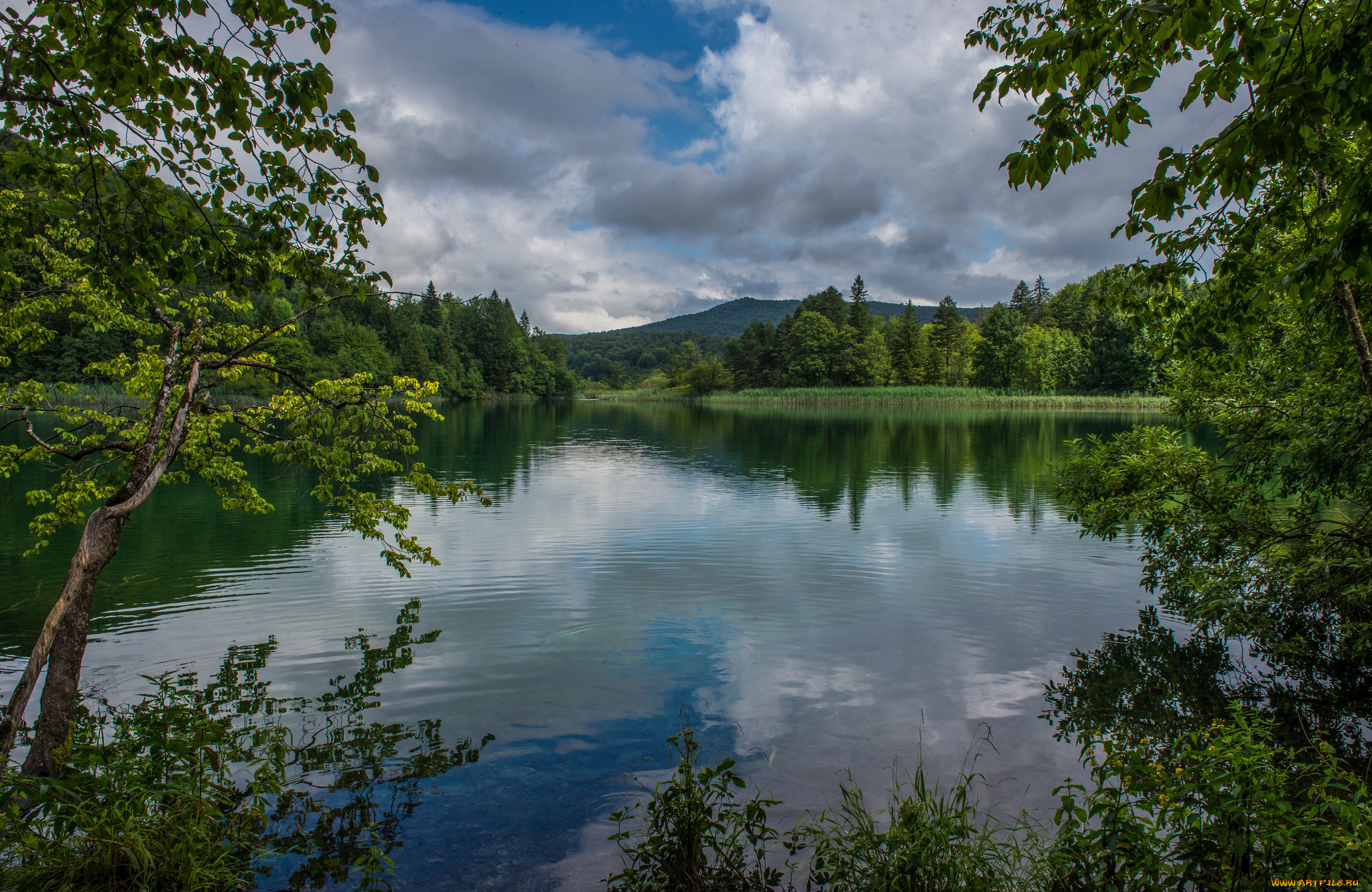 природа, реки, озера, простор
