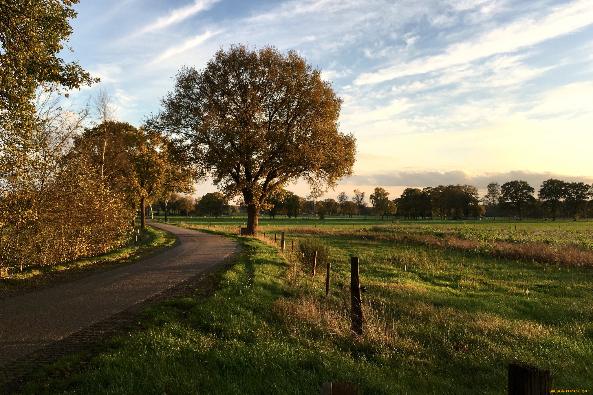 природа, дороги, простор