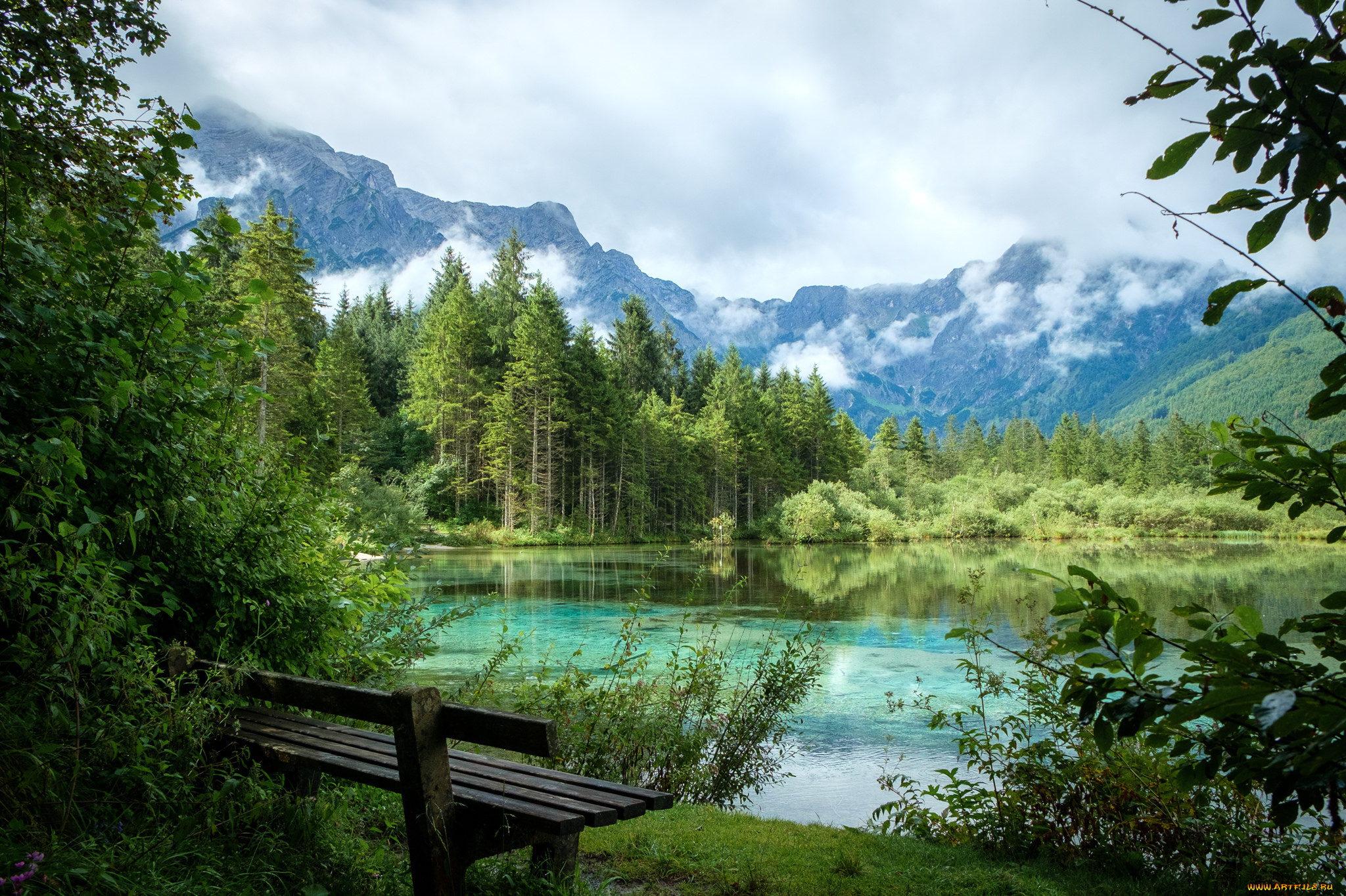 природа, реки, озера, простор