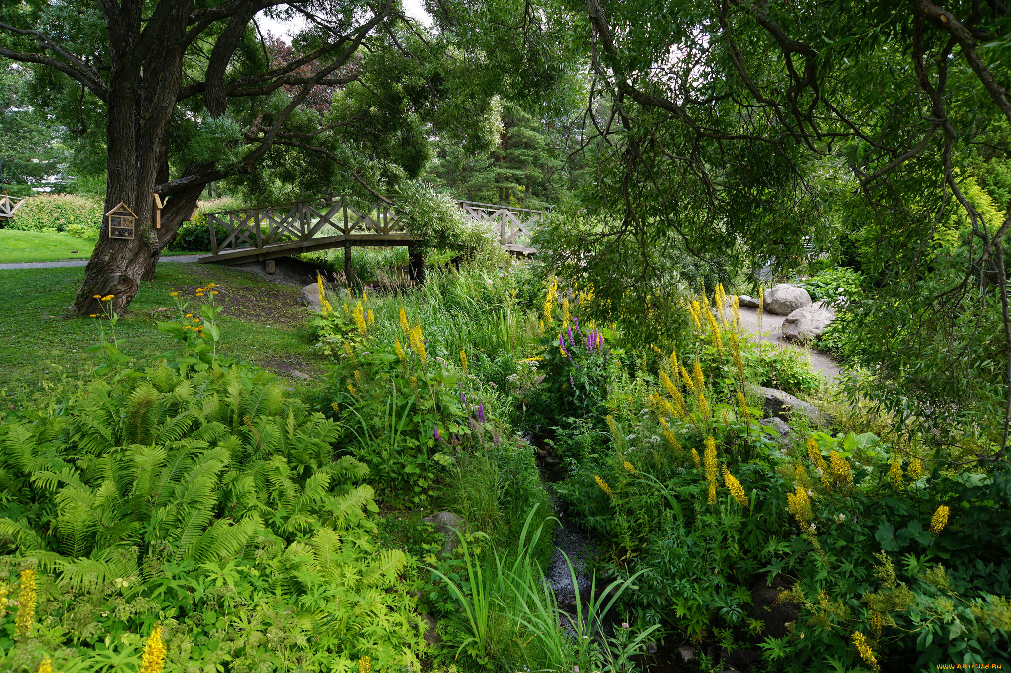 природа, реки, озера, простор