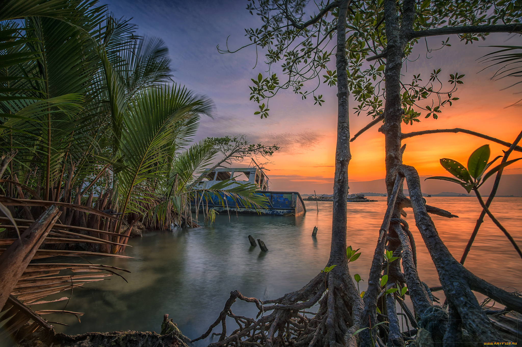 природа, тропики, простор