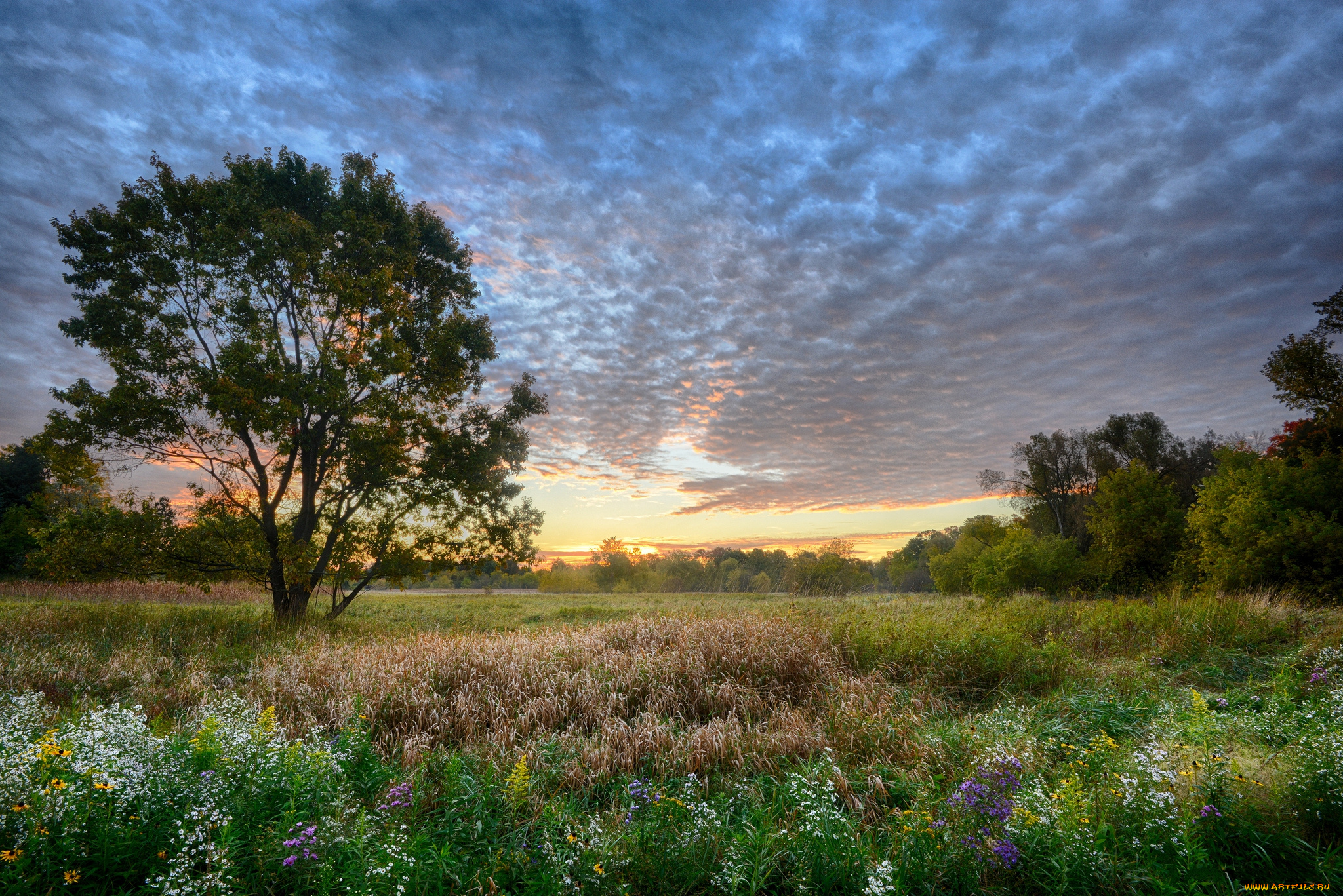 природа, пейзажи, простор