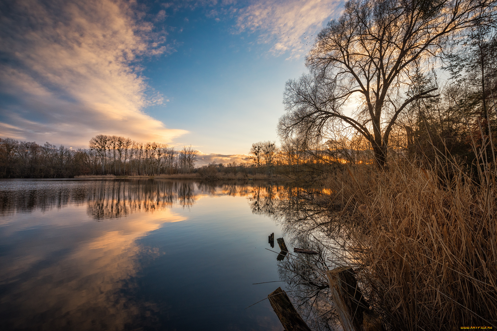 природа, реки, озера, простор