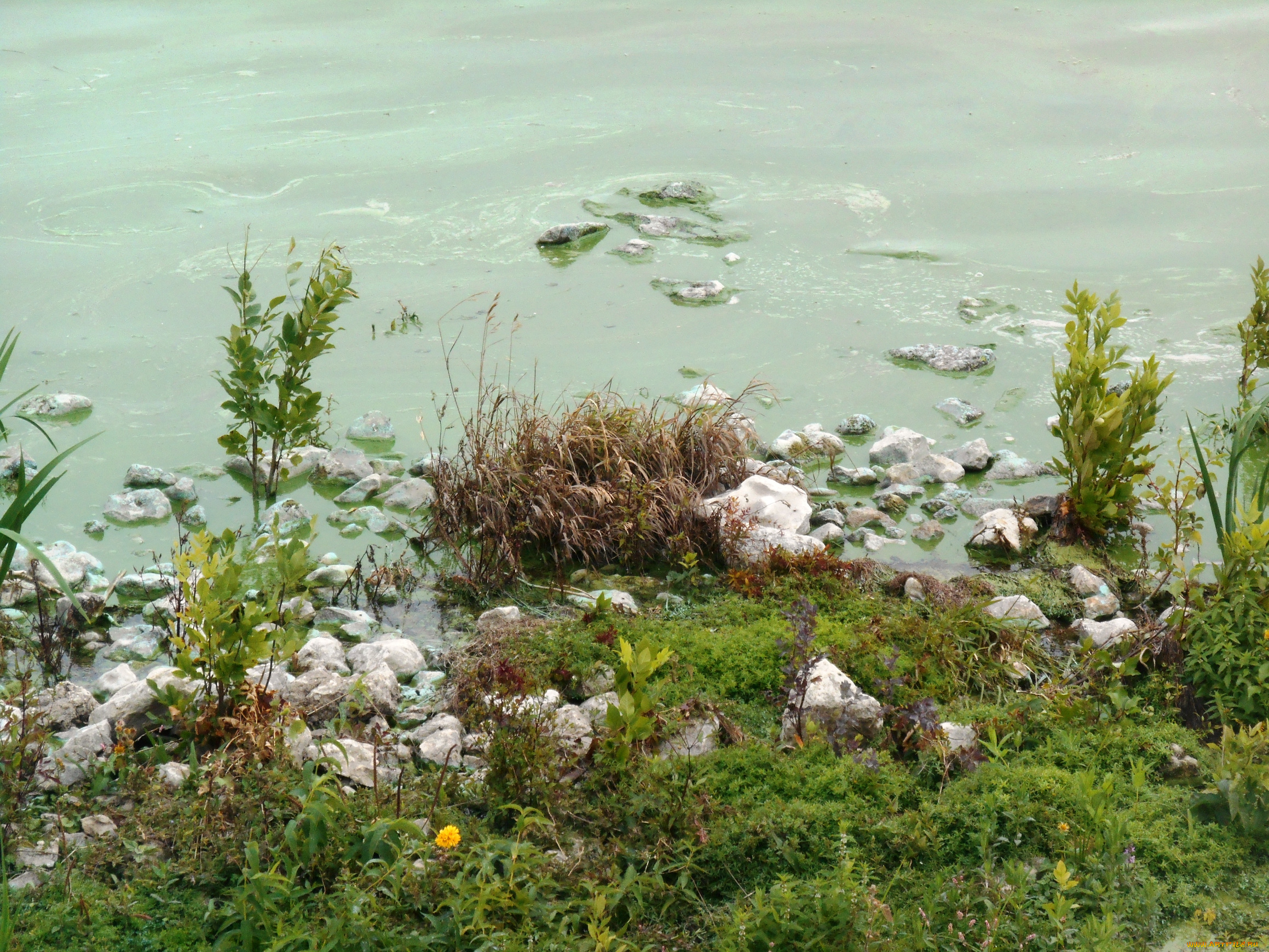 природа, вода