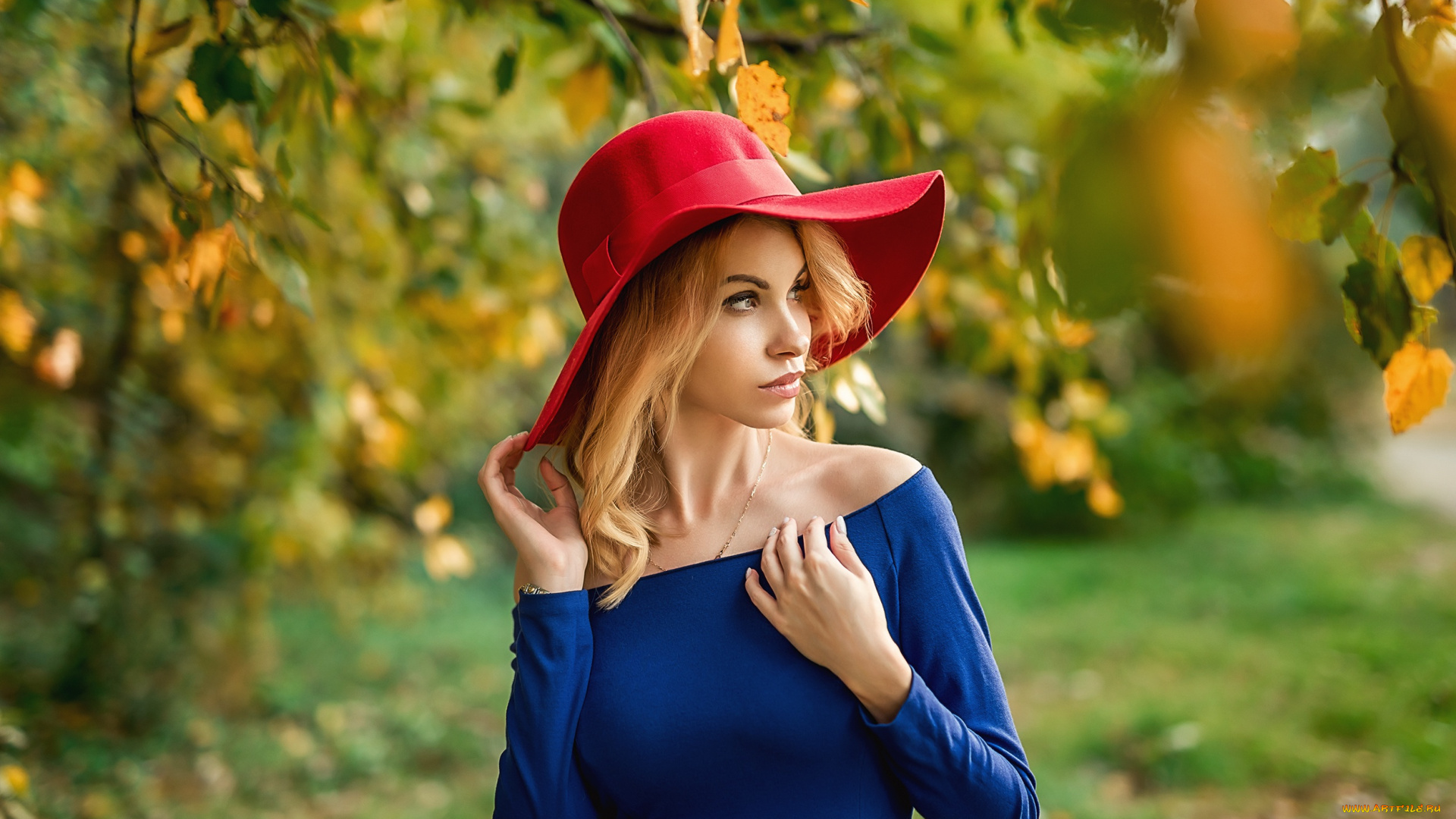 девушка, девушки, -unsort, , блондинки, , светловолосые, модель