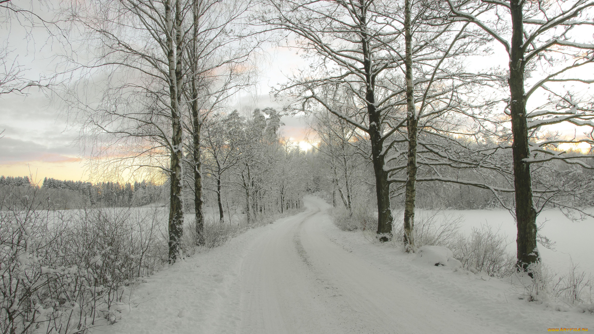 природа, дороги, пейзаж, закат, деревья, дорога, зима
