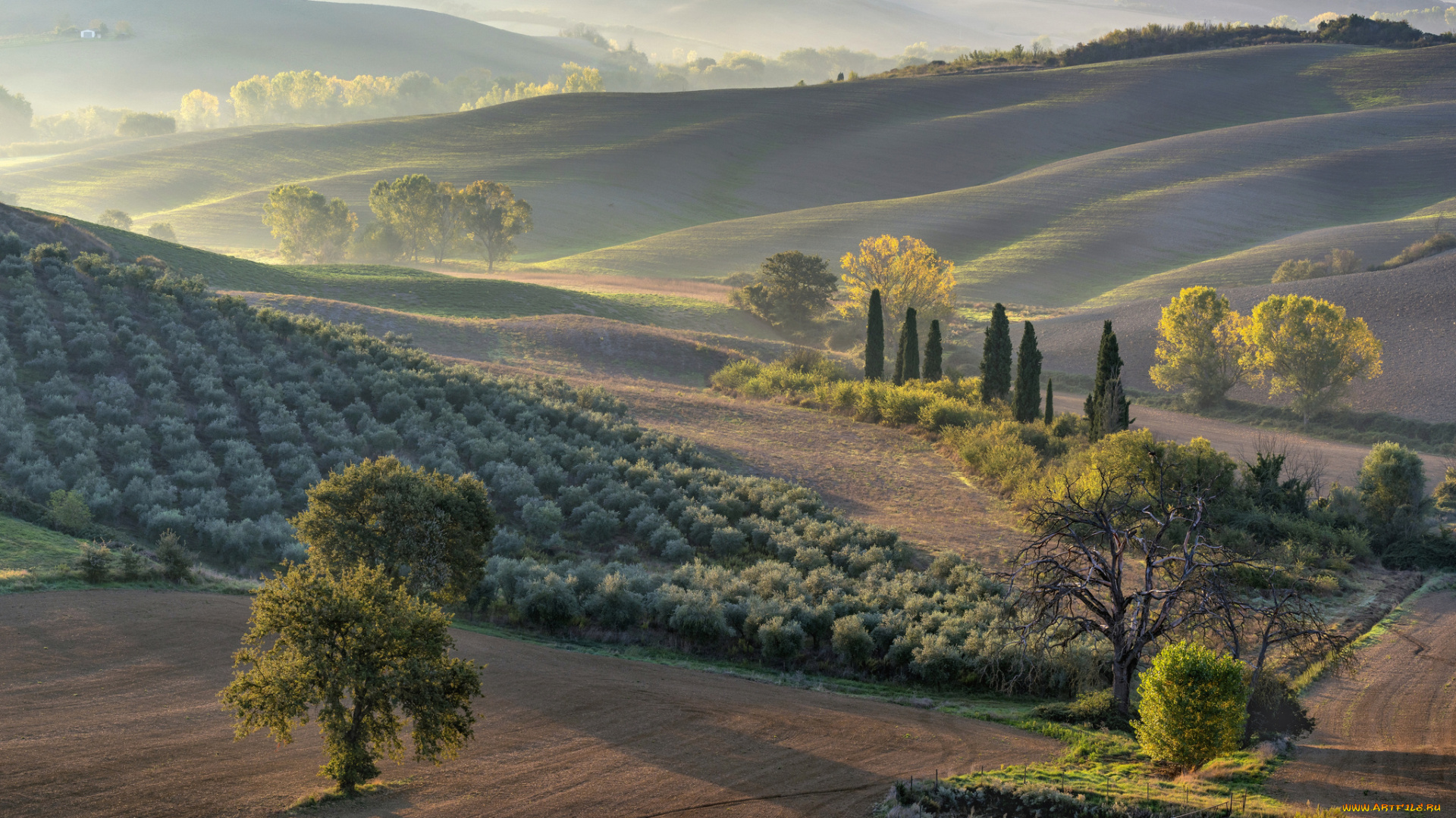природа, пейзажи, простор