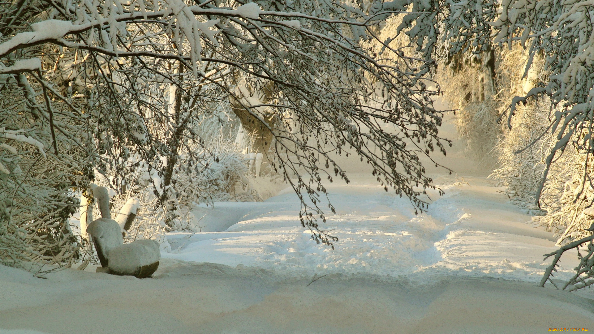 природа, зима, скамья, следы, ветки, деревья, снег