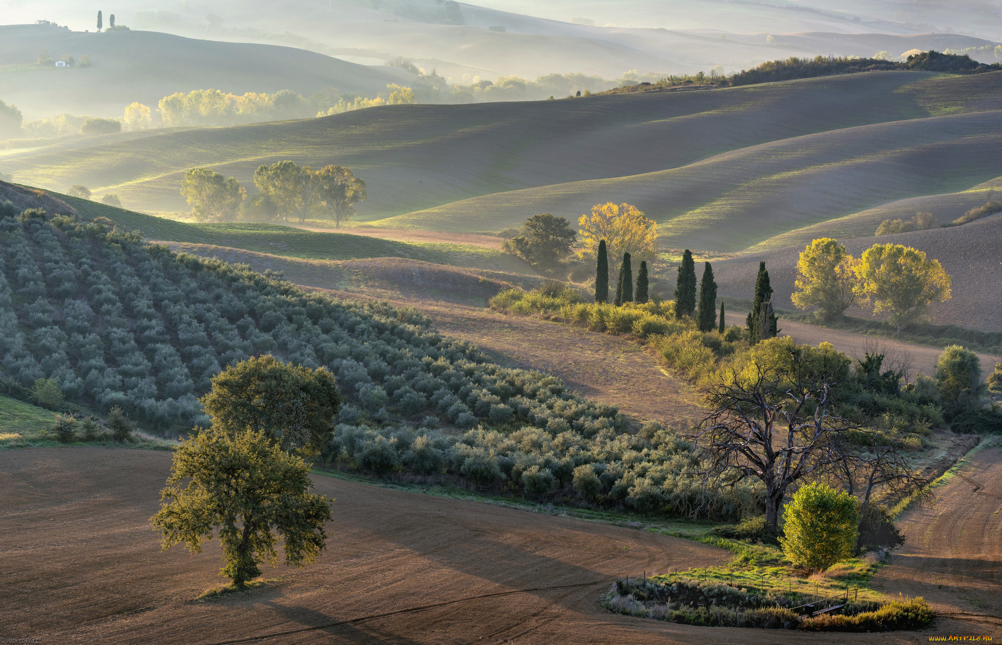 природа, пейзажи, простор