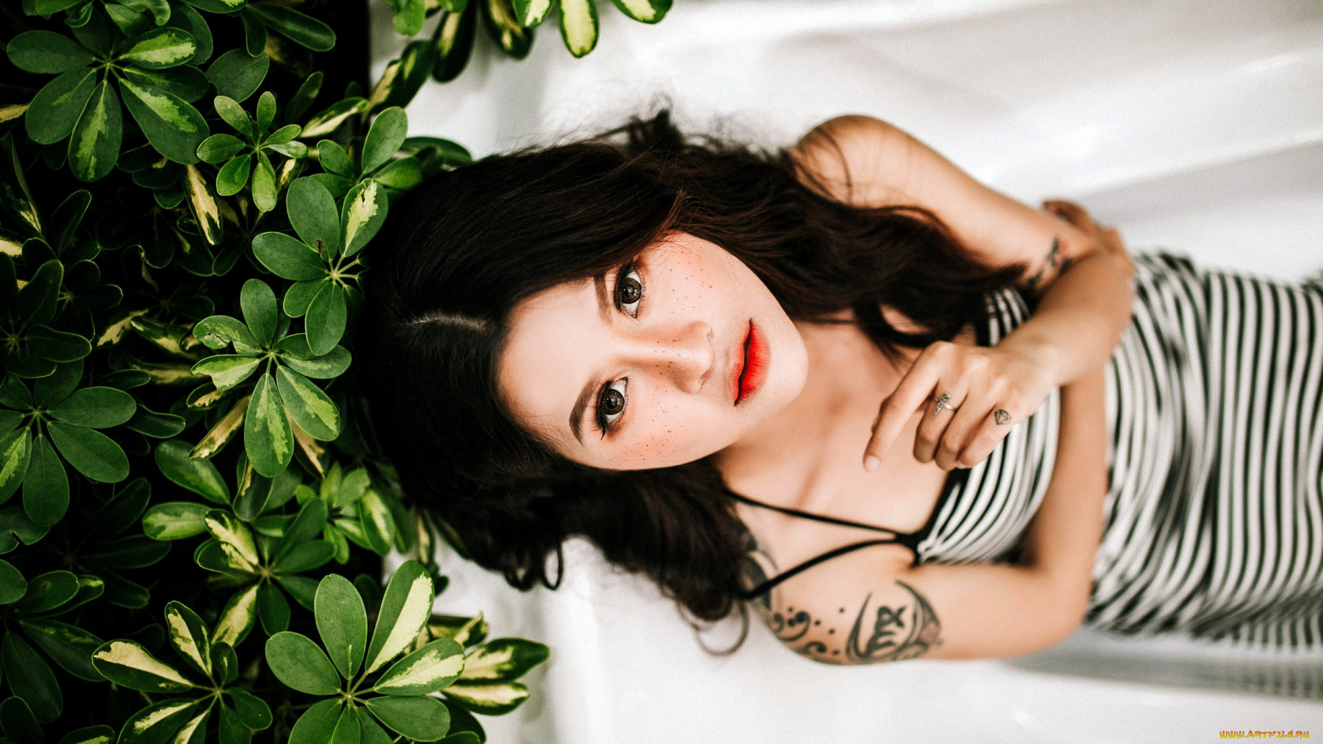 девушки, -, азиатки, тату, азиатка, поза