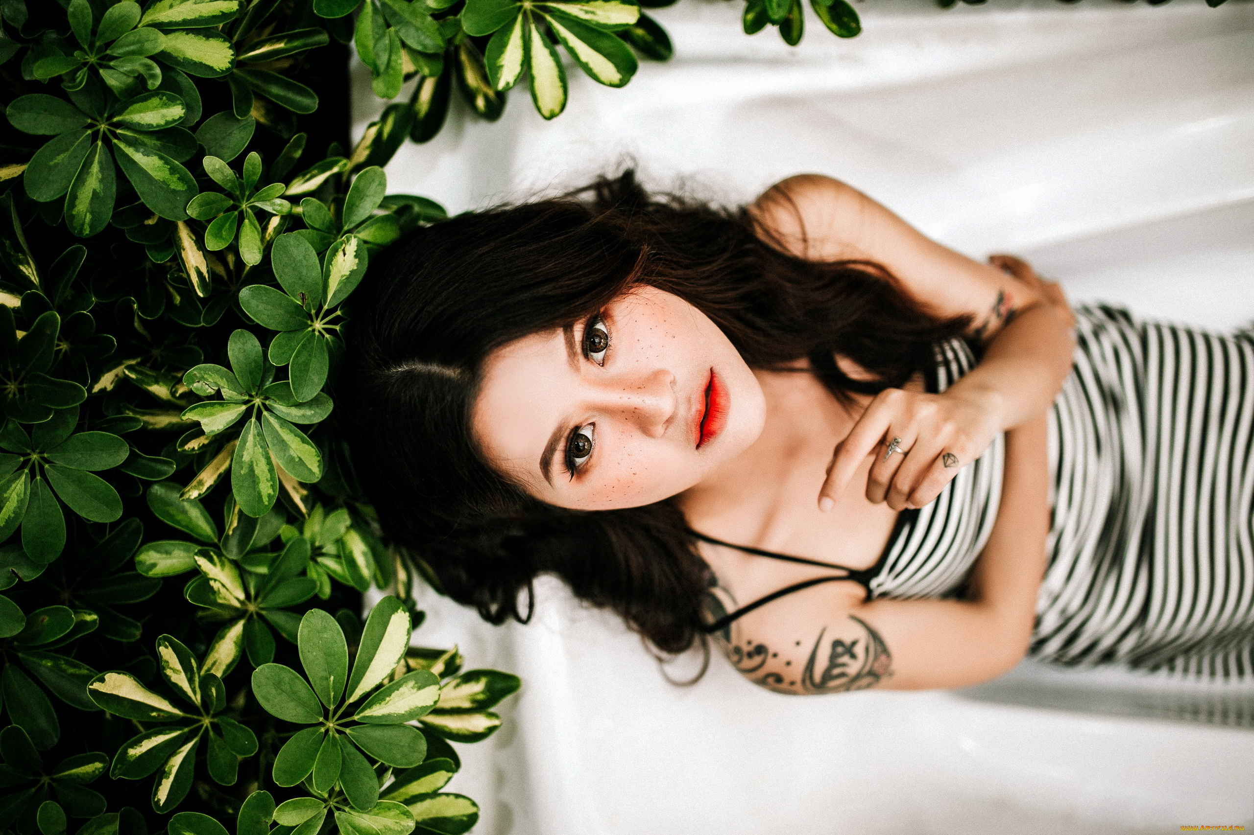 девушки, -, азиатки, тату, азиатка, поза