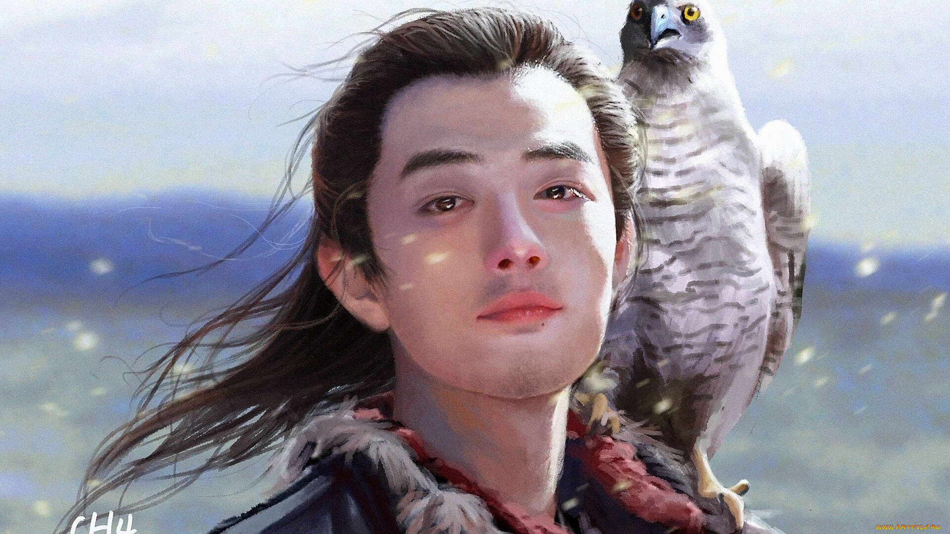 рисованное, кино, , мультфильмы, лицо, сокол