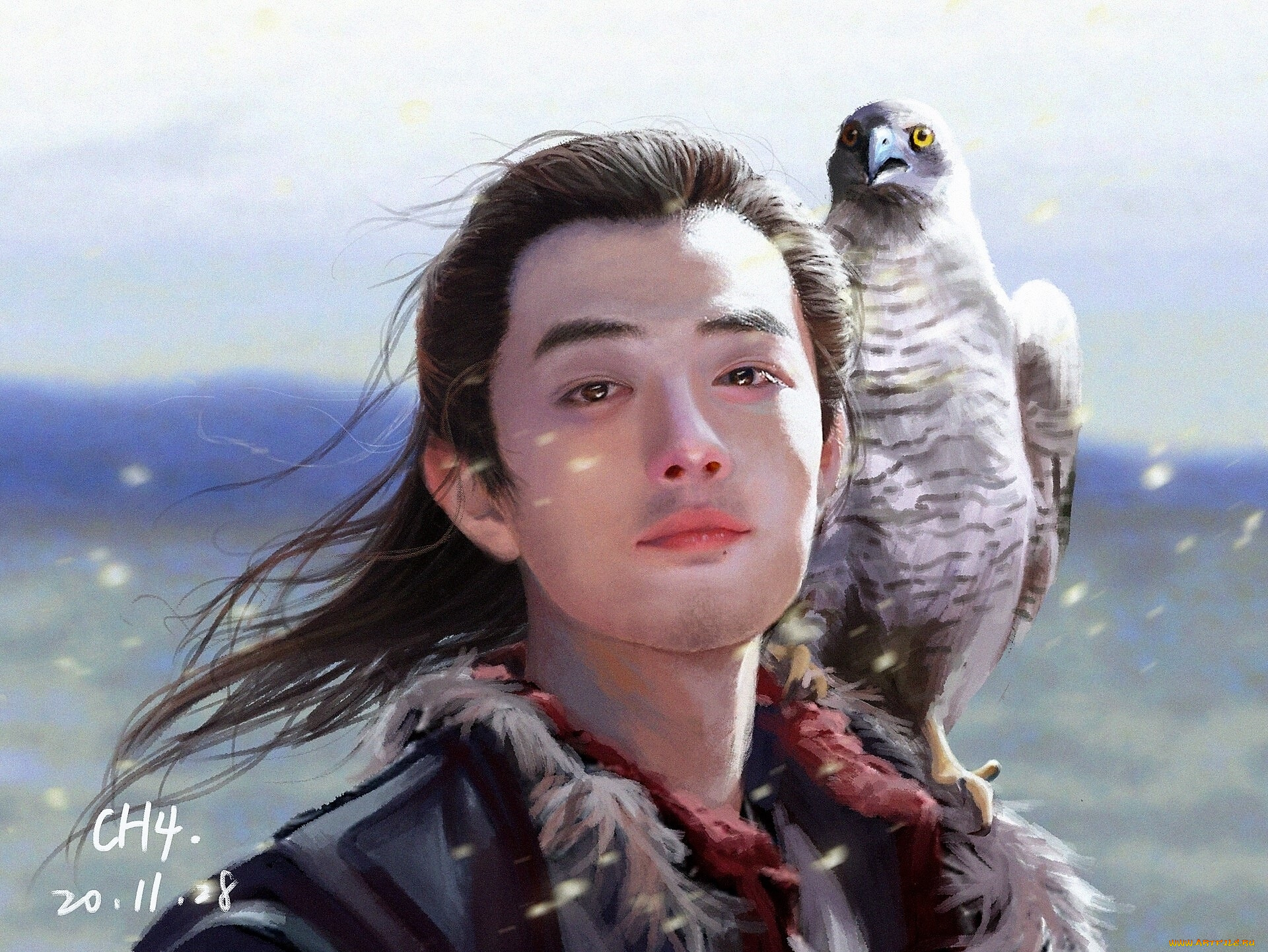 рисованное, кино, , мультфильмы, лицо, сокол