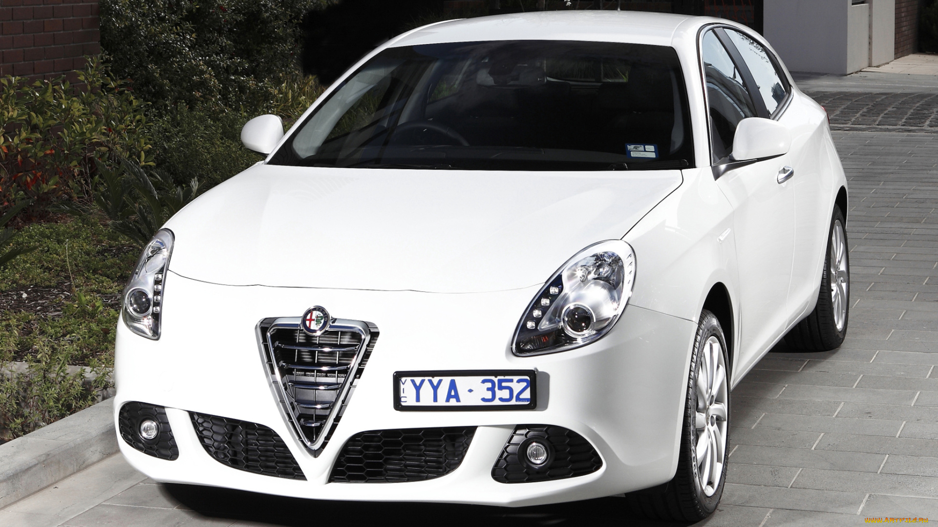 автомобили, alfa, romeo, белый