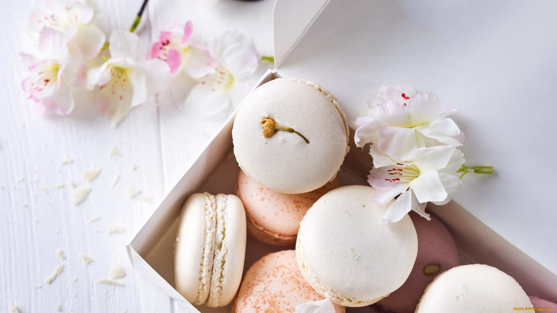 еда, макаруны, лакомство, печенье, ассорти