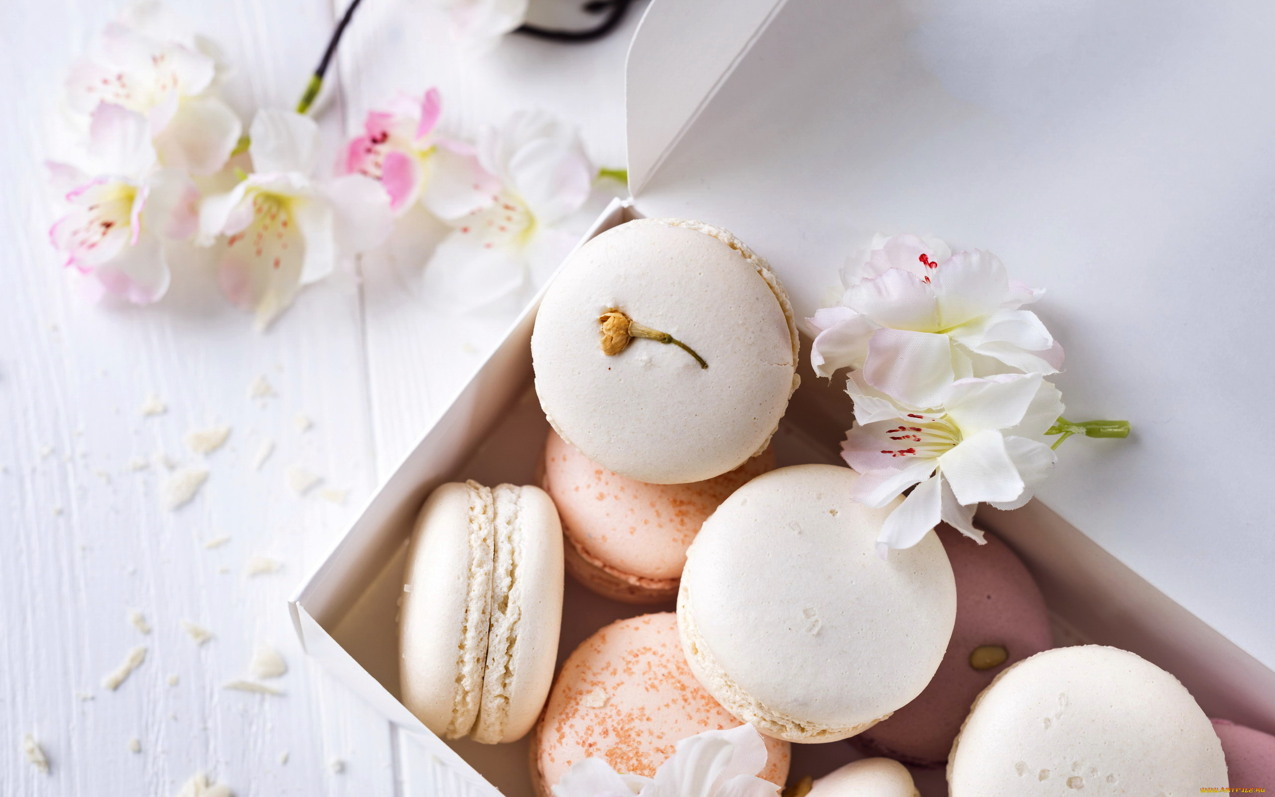 еда, макаруны, лакомство, печенье, ассорти