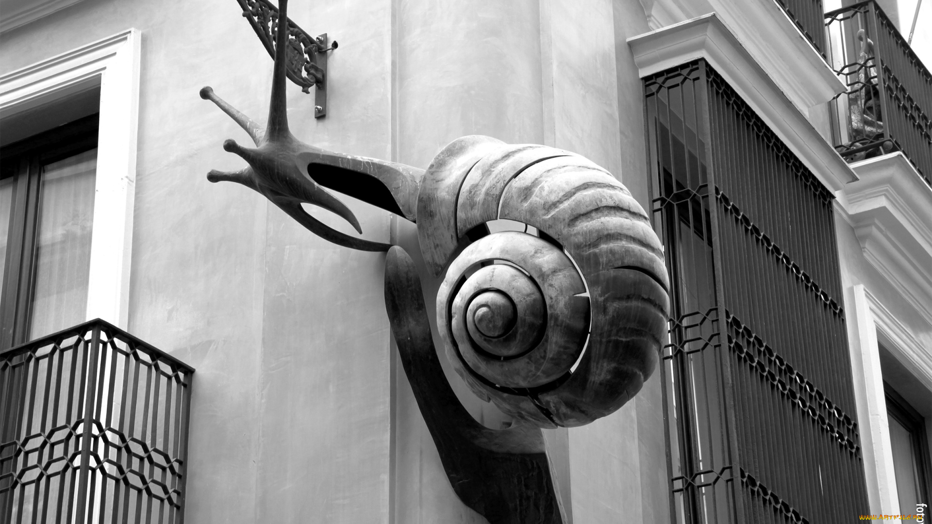 разное, элементы, архитектуры, стена, улитка