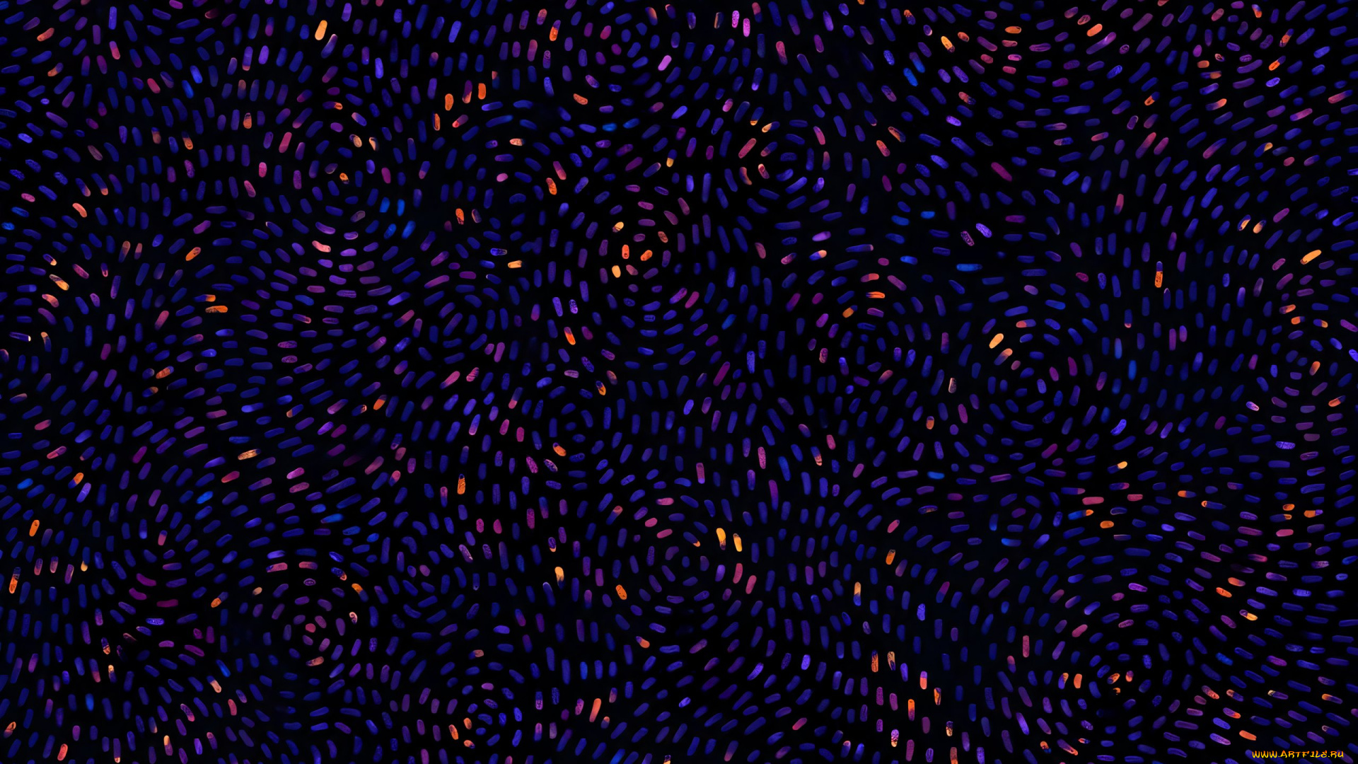 рисованное, vladstudio