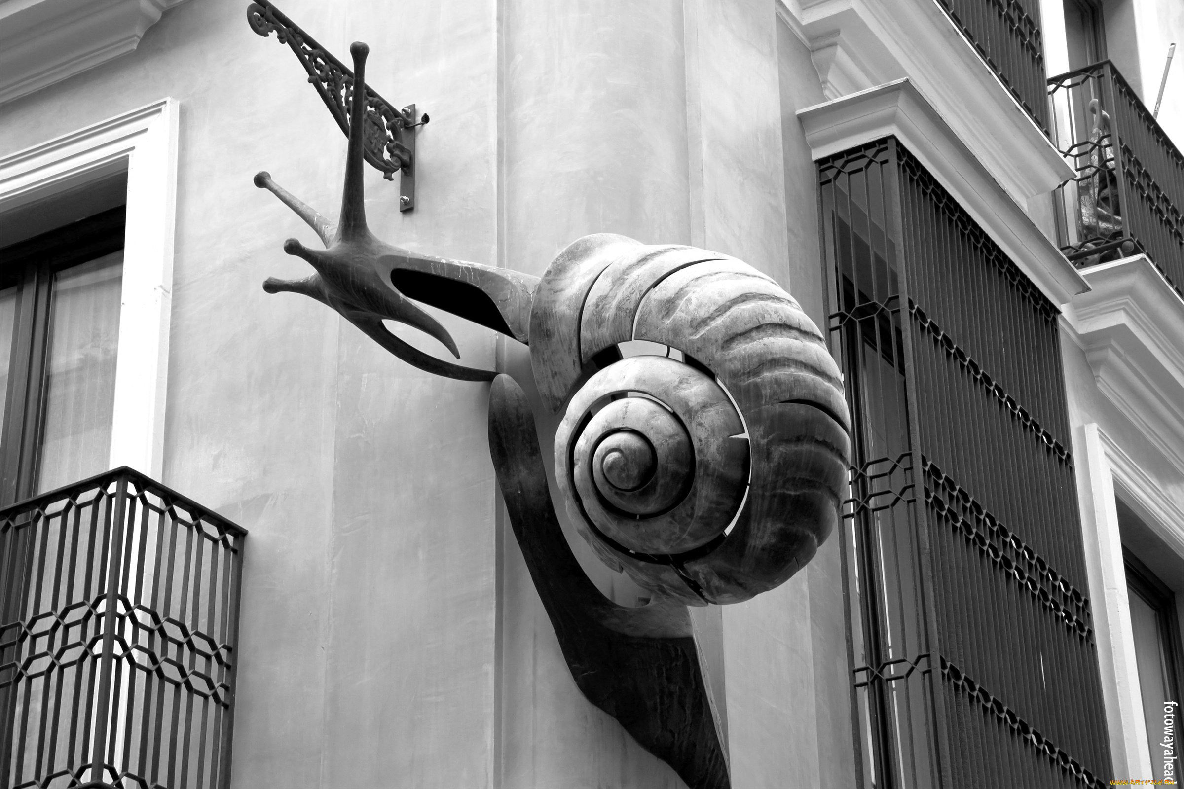 разное, элементы, архитектуры, стена, улитка