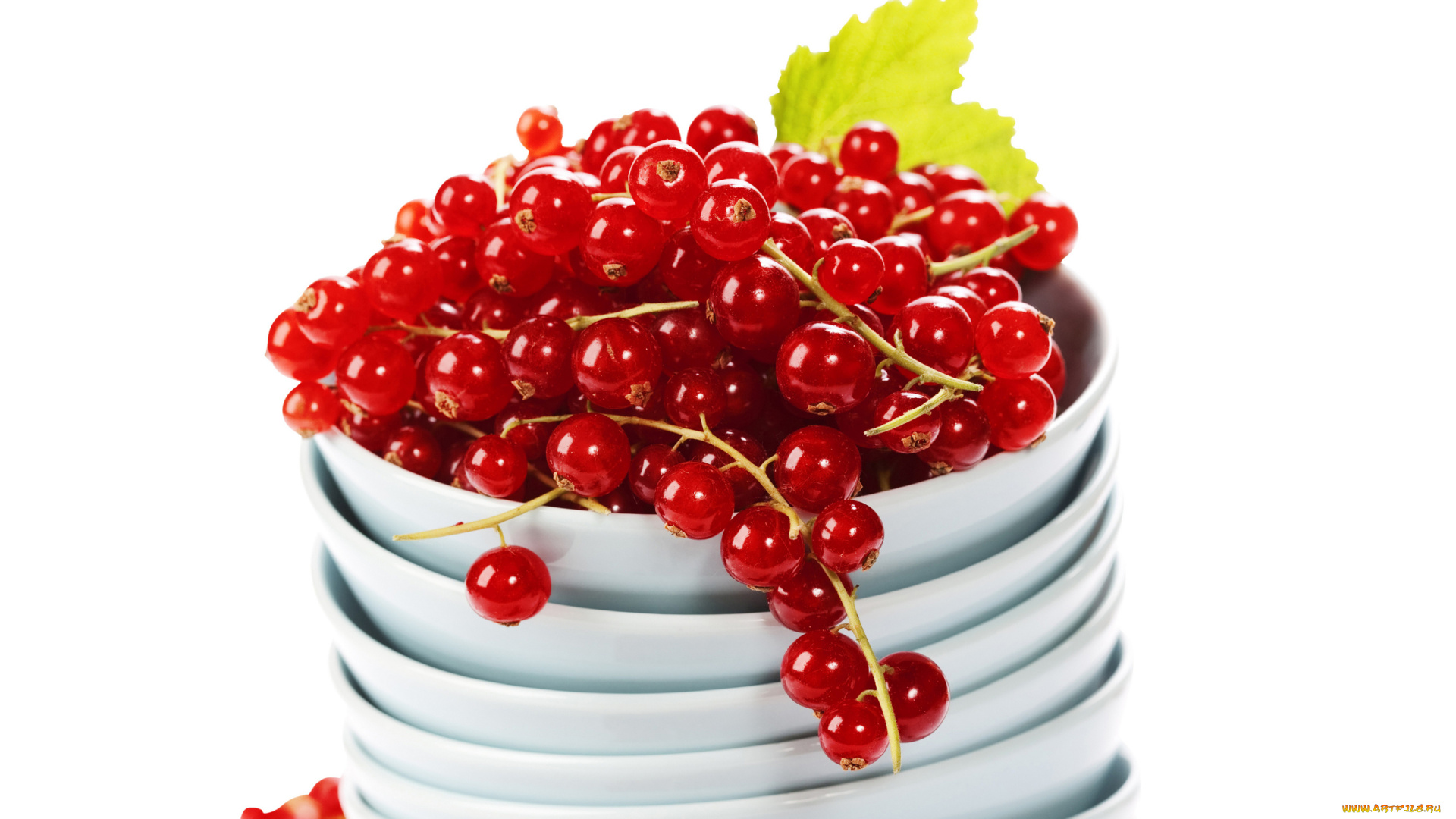 еда, смородина, ягоды, красная