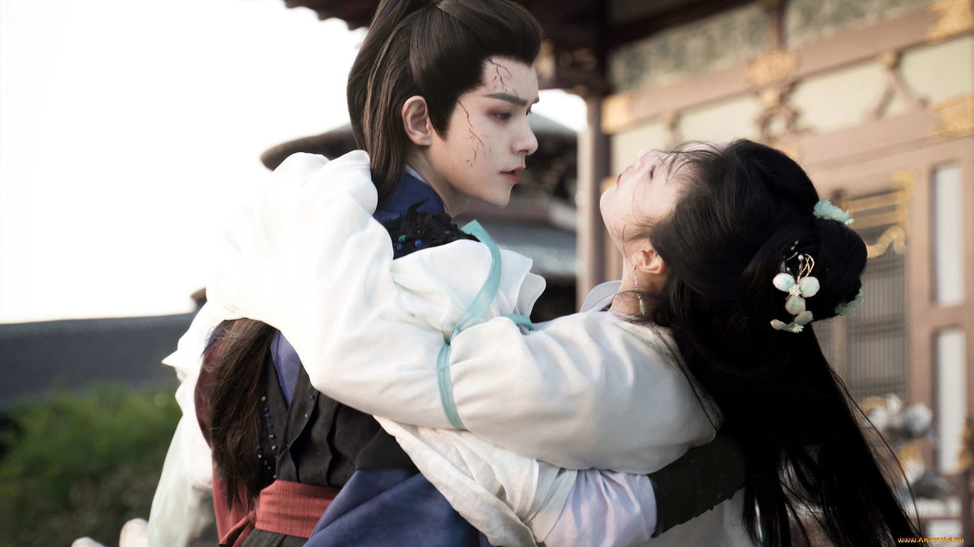 кино, фильмы, love, of, petals, love, of, petals