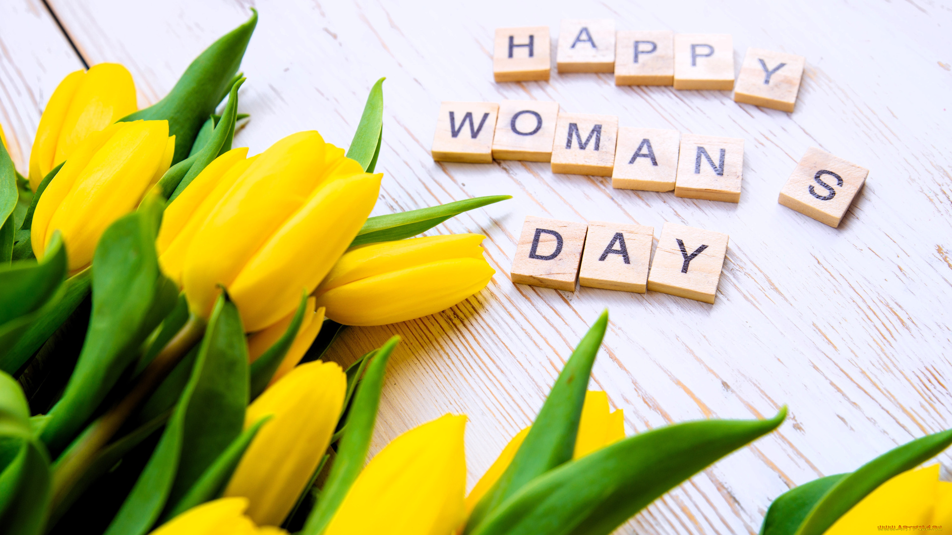 праздничные, международный, женский, день, -, 8, марта, тюльпаны, кубики, надпись