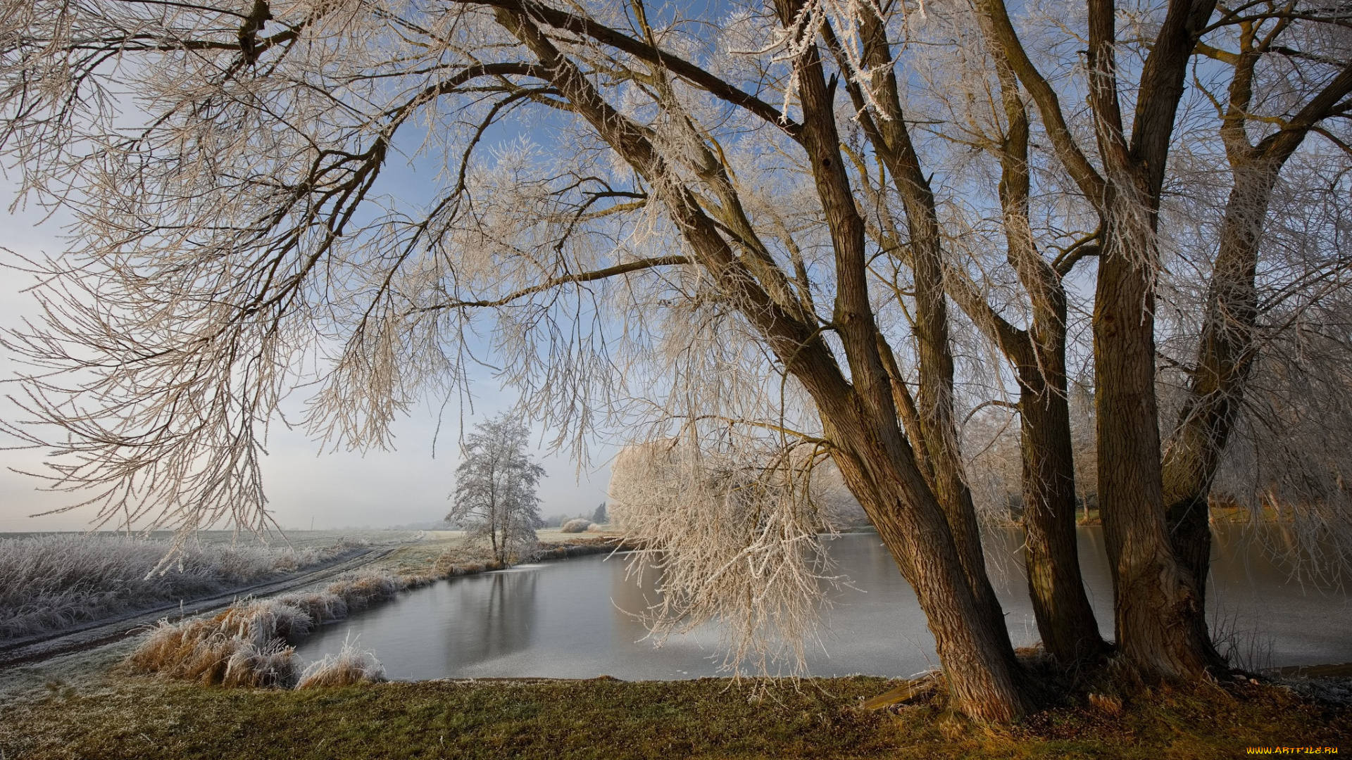 природа, реки, озера, зима