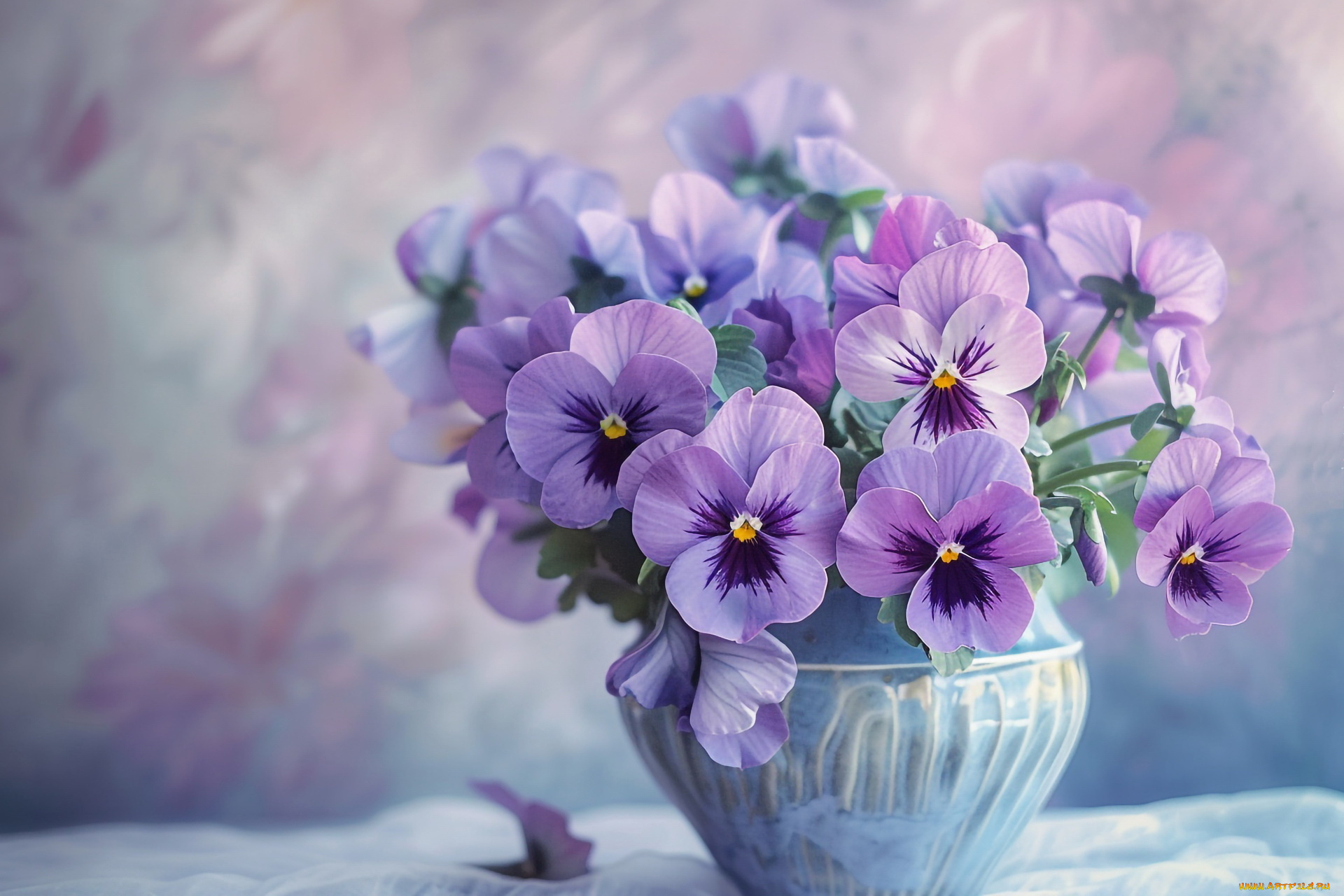 3д, графика, цветы, , flowers, анютины, глазки