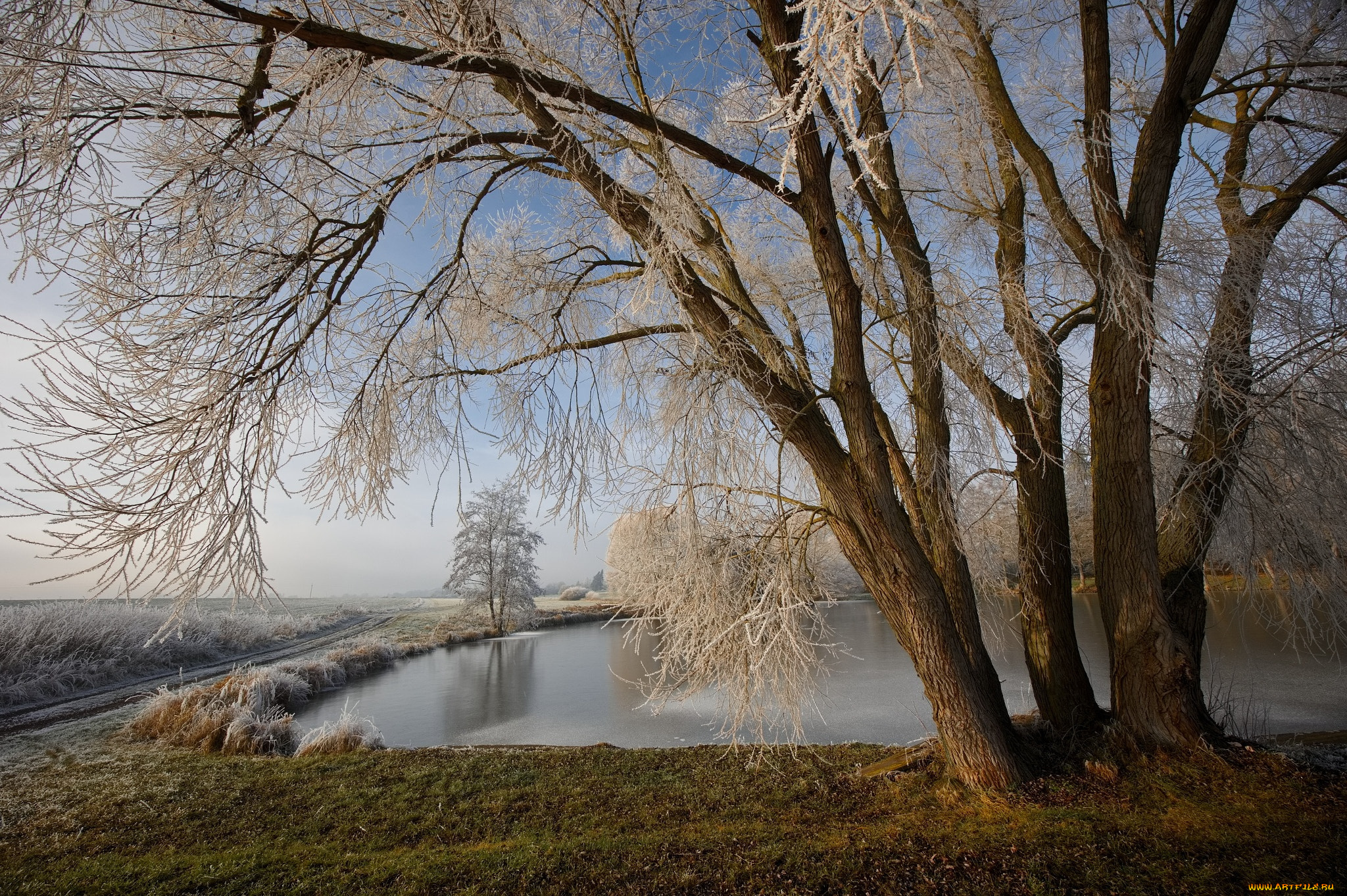 природа, реки, озера, зима