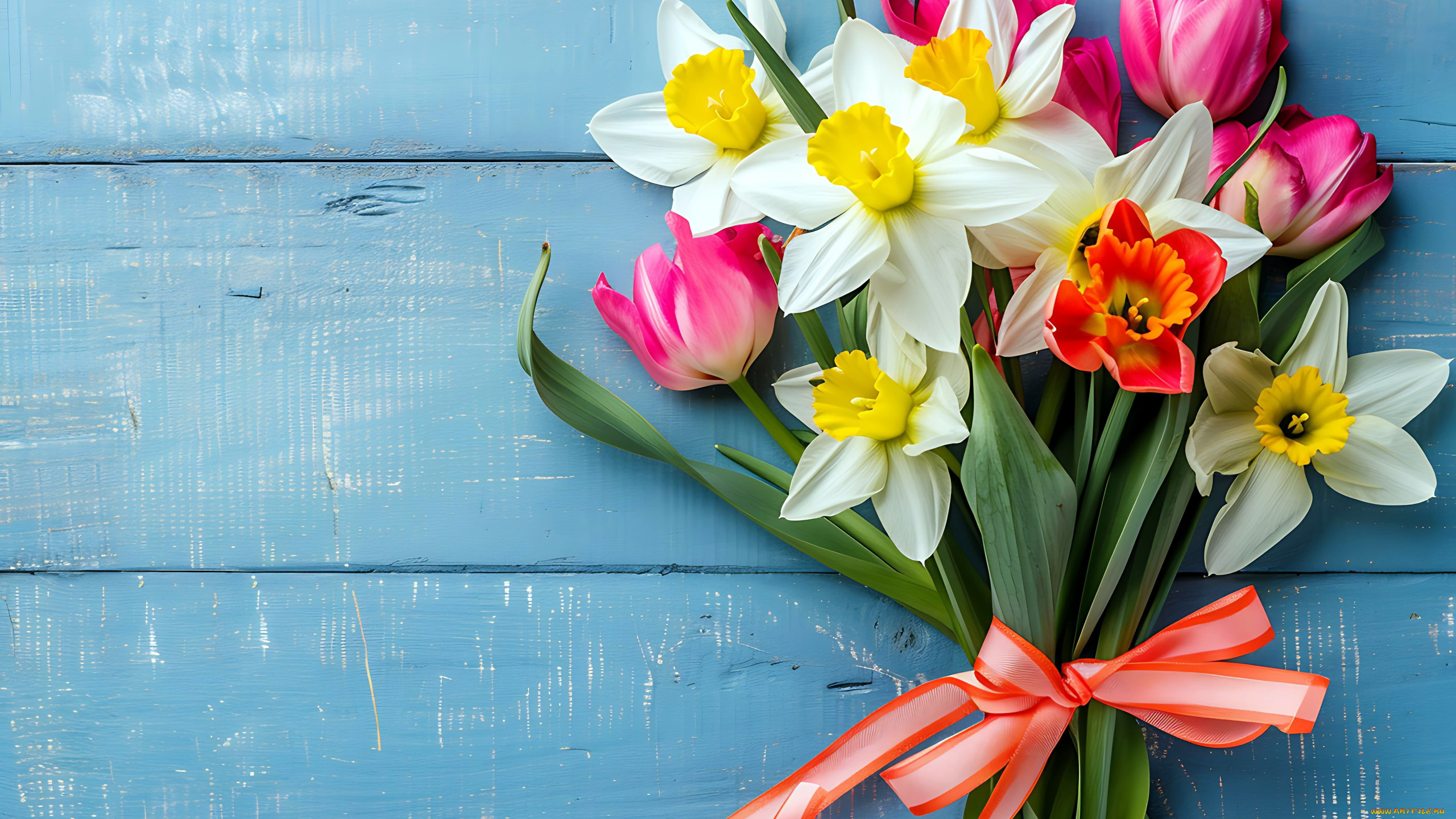 цветы, букеты, , композиции, нарциссы, тюльпаны, букет, лента, бант