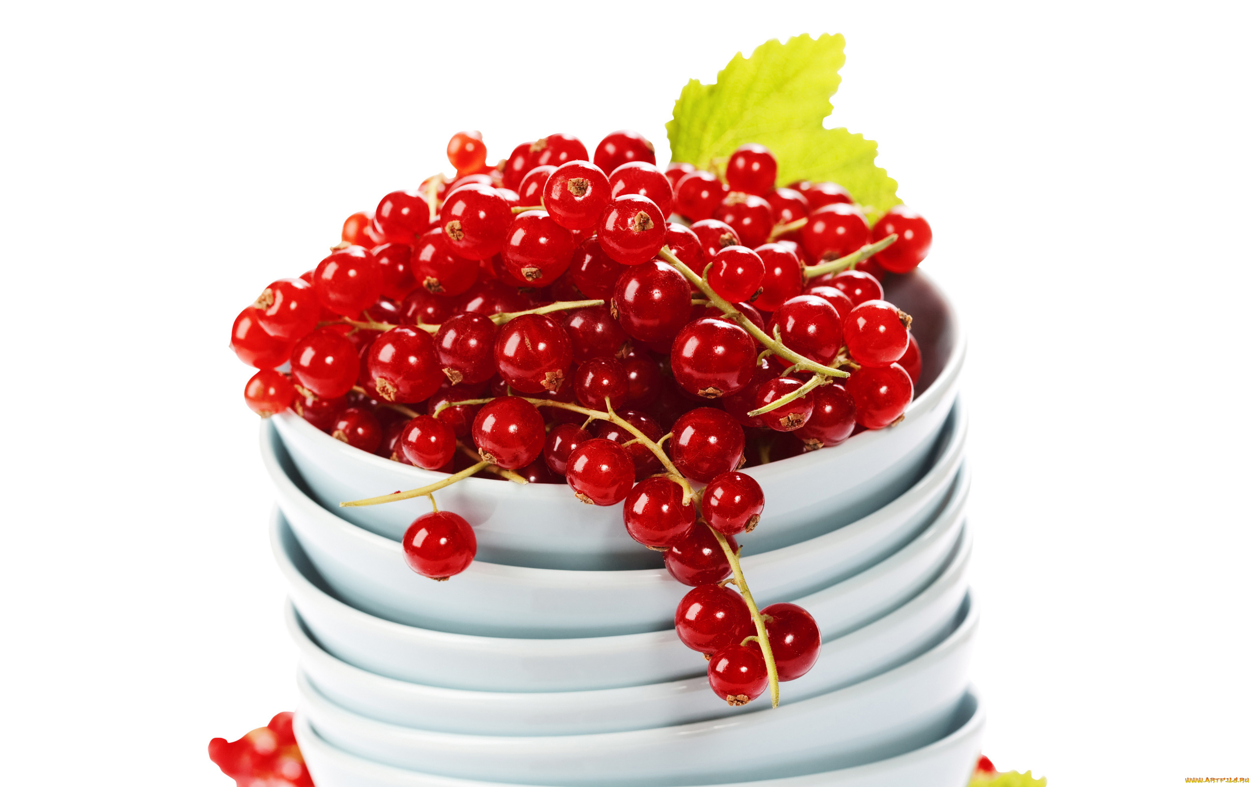 еда, смородина, ягоды, красная