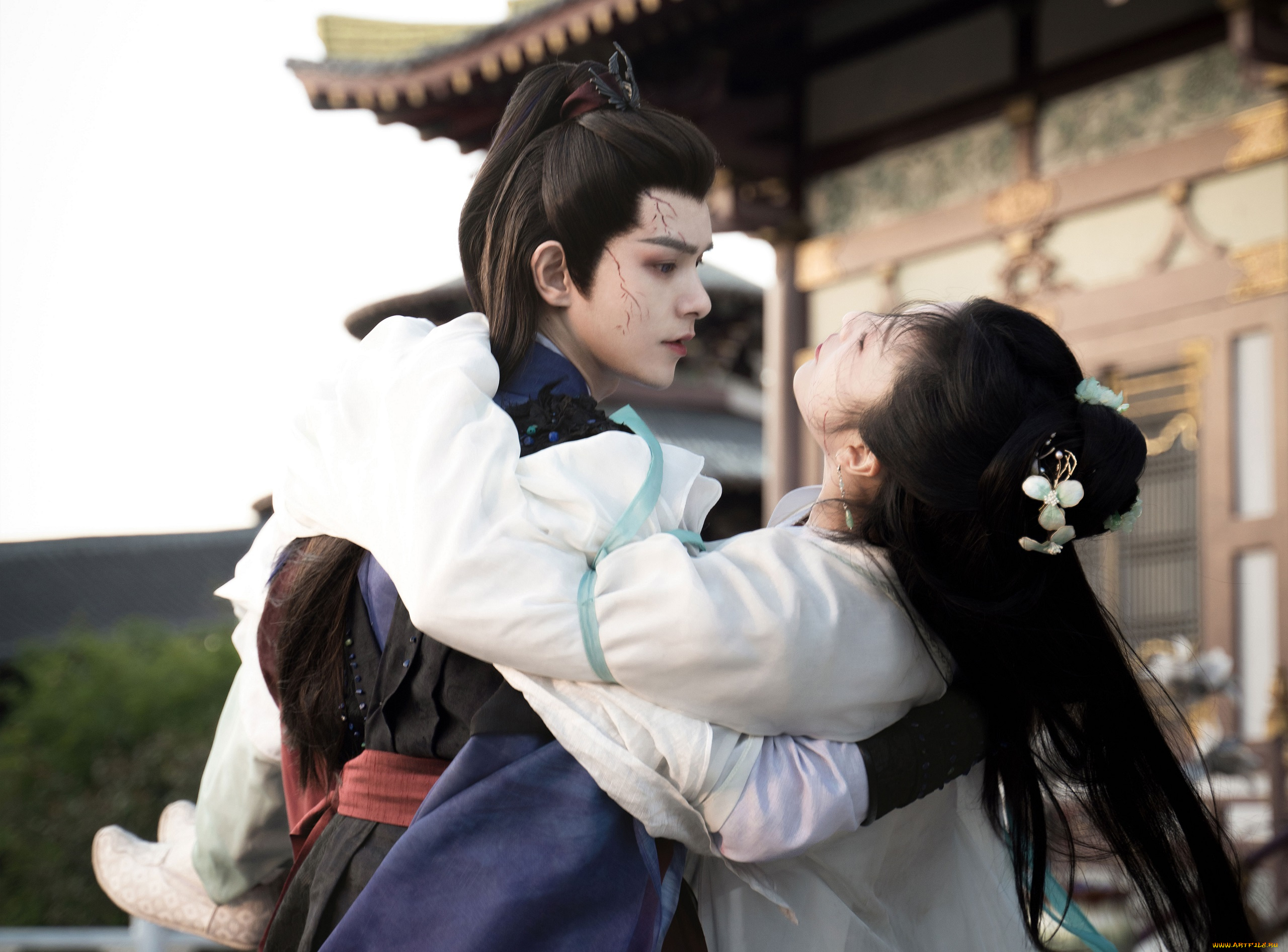 кино, фильмы, love, of, petals, love, of, petals