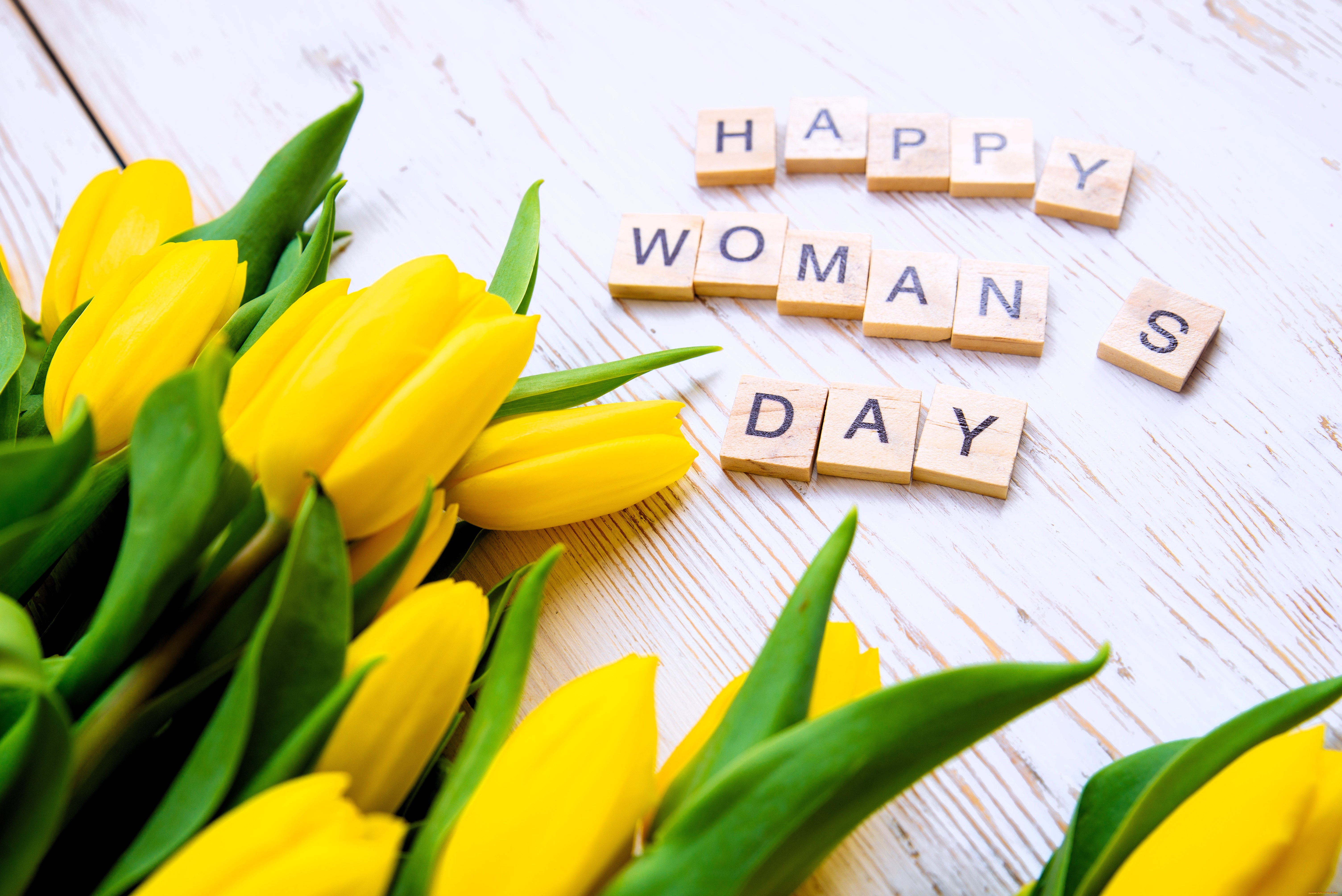 праздничные, международный, женский, день, -, 8, марта, тюльпаны, кубики, надпись