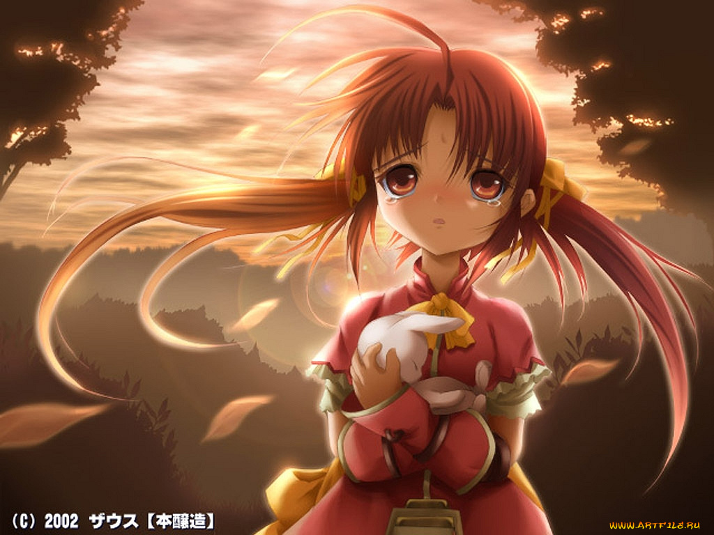 аниме, *unknown, другое