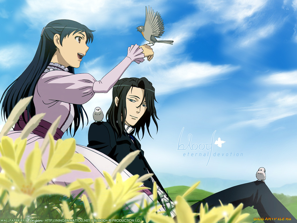 blood, , аниме