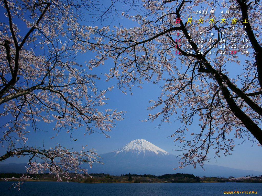 календари, природа