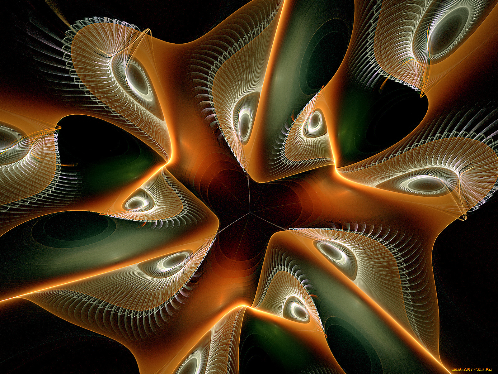 3д, графика, fractal, фракталы, узор, фон, цвета