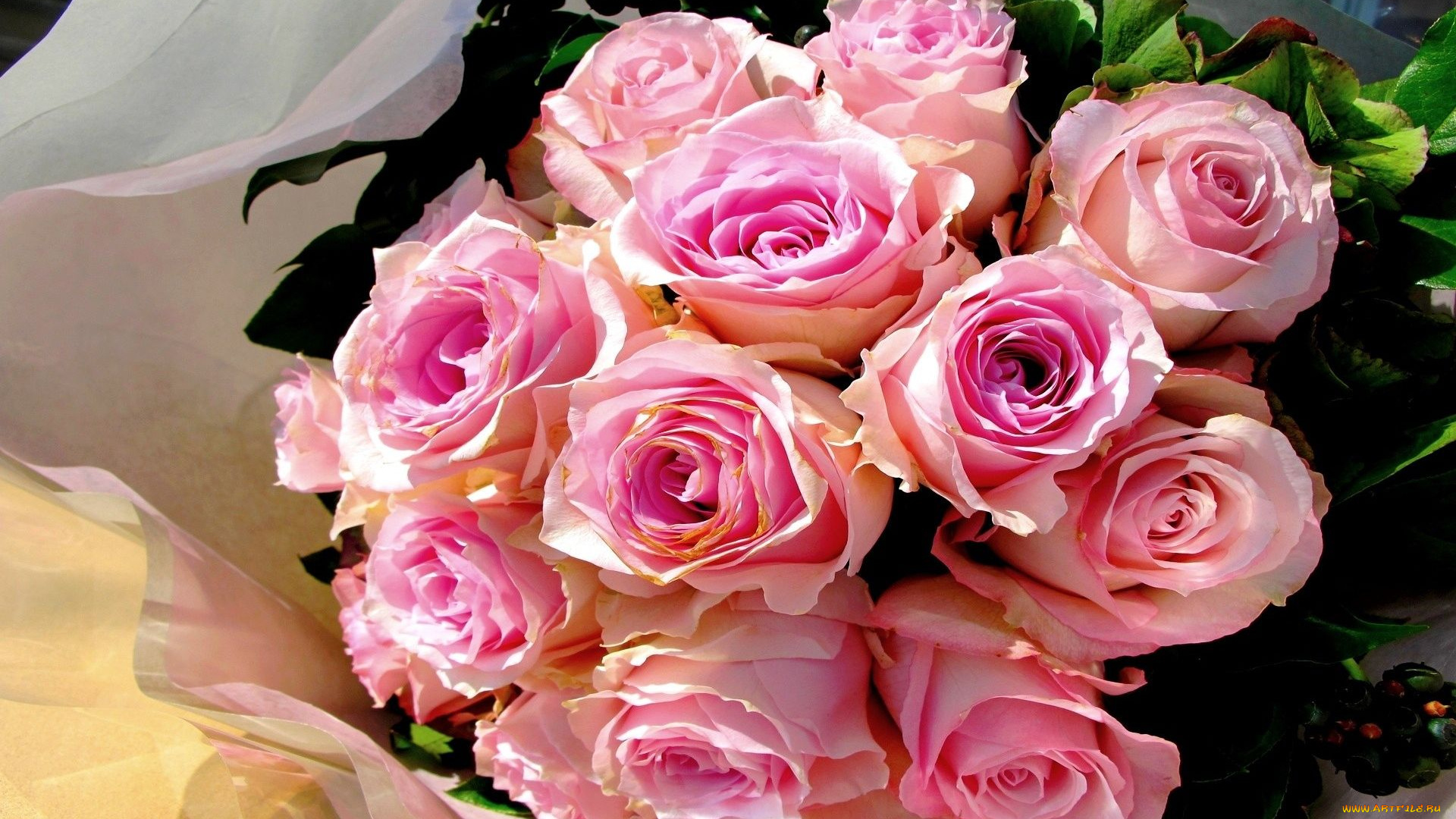 №594806, цветы, розы, букет, бутоны