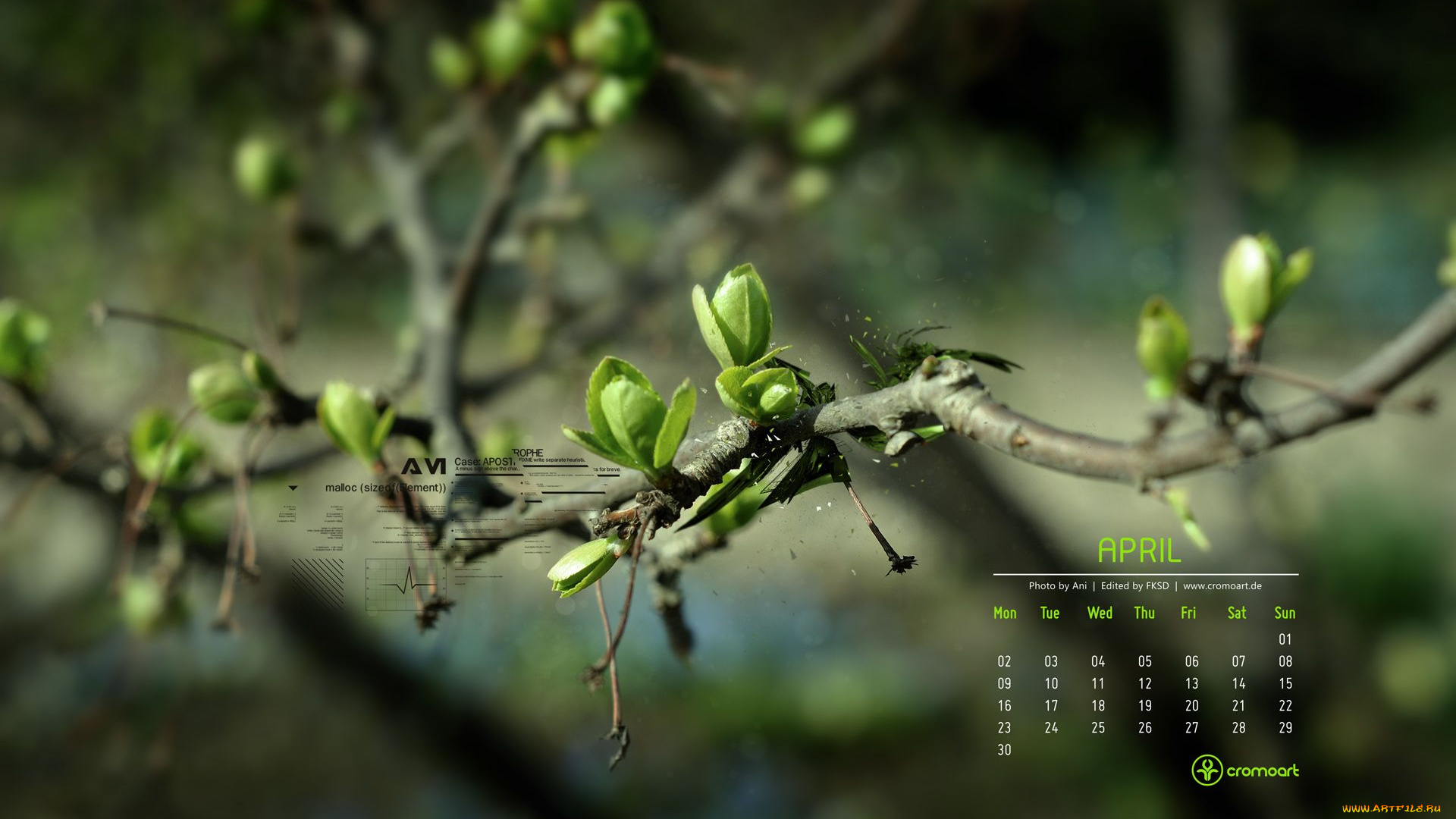 календари, природа, листочки, ветка