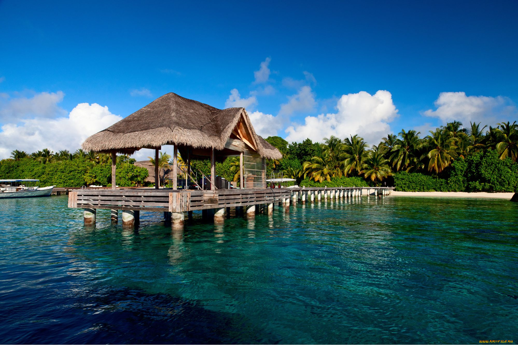 разное, сооружения, постройки, пальма